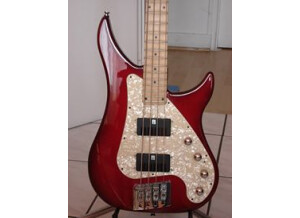 Vigier vigier excess