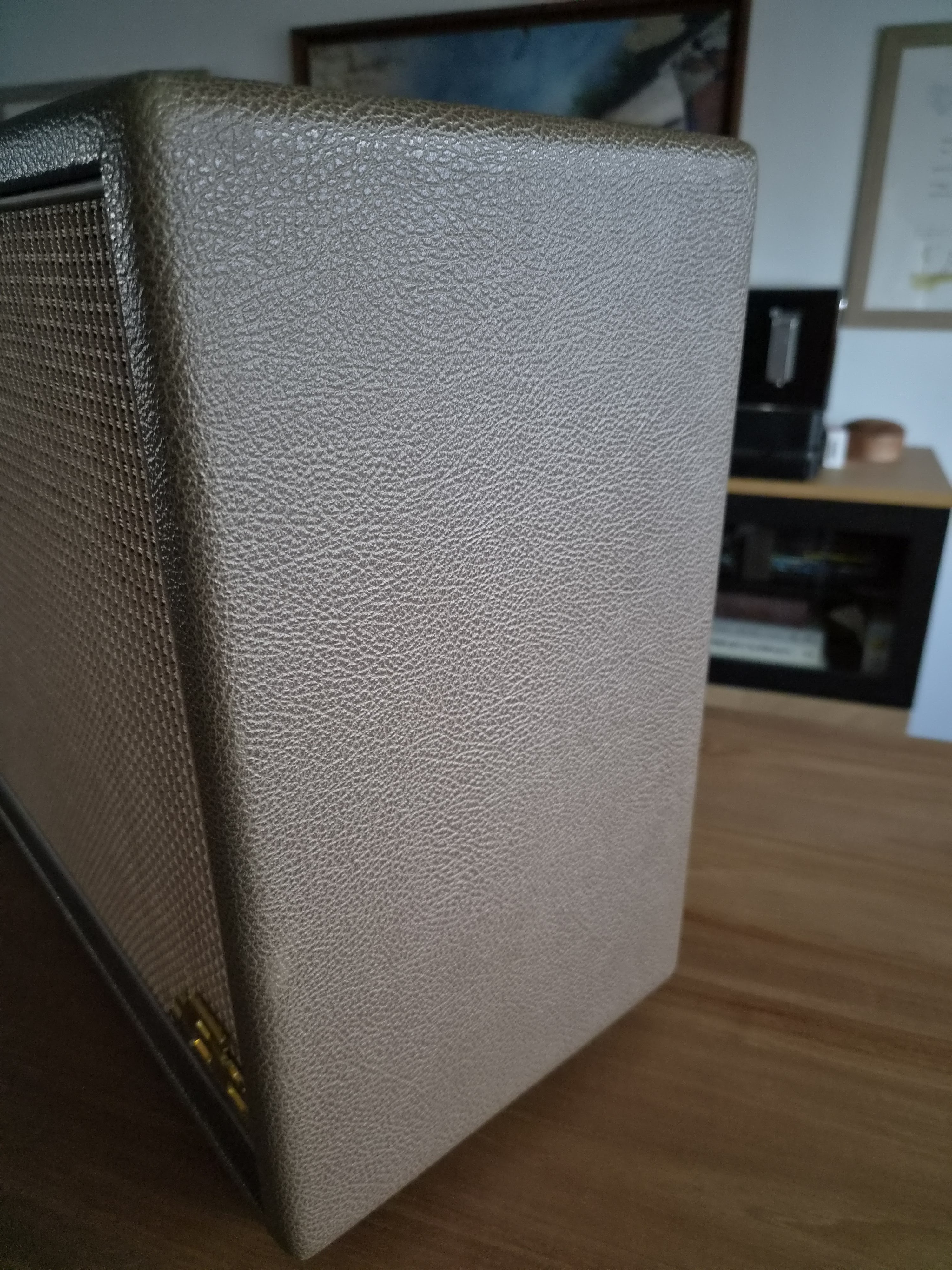 FX Amplification 1×12″ classic (85525)