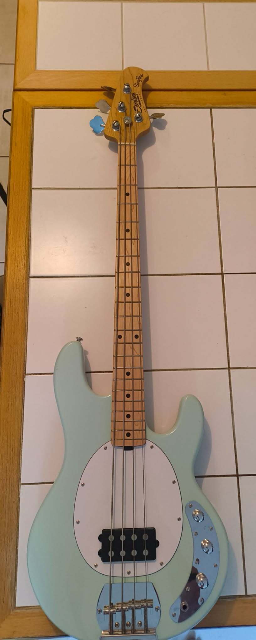 Stingray ray4 MN Mint Green