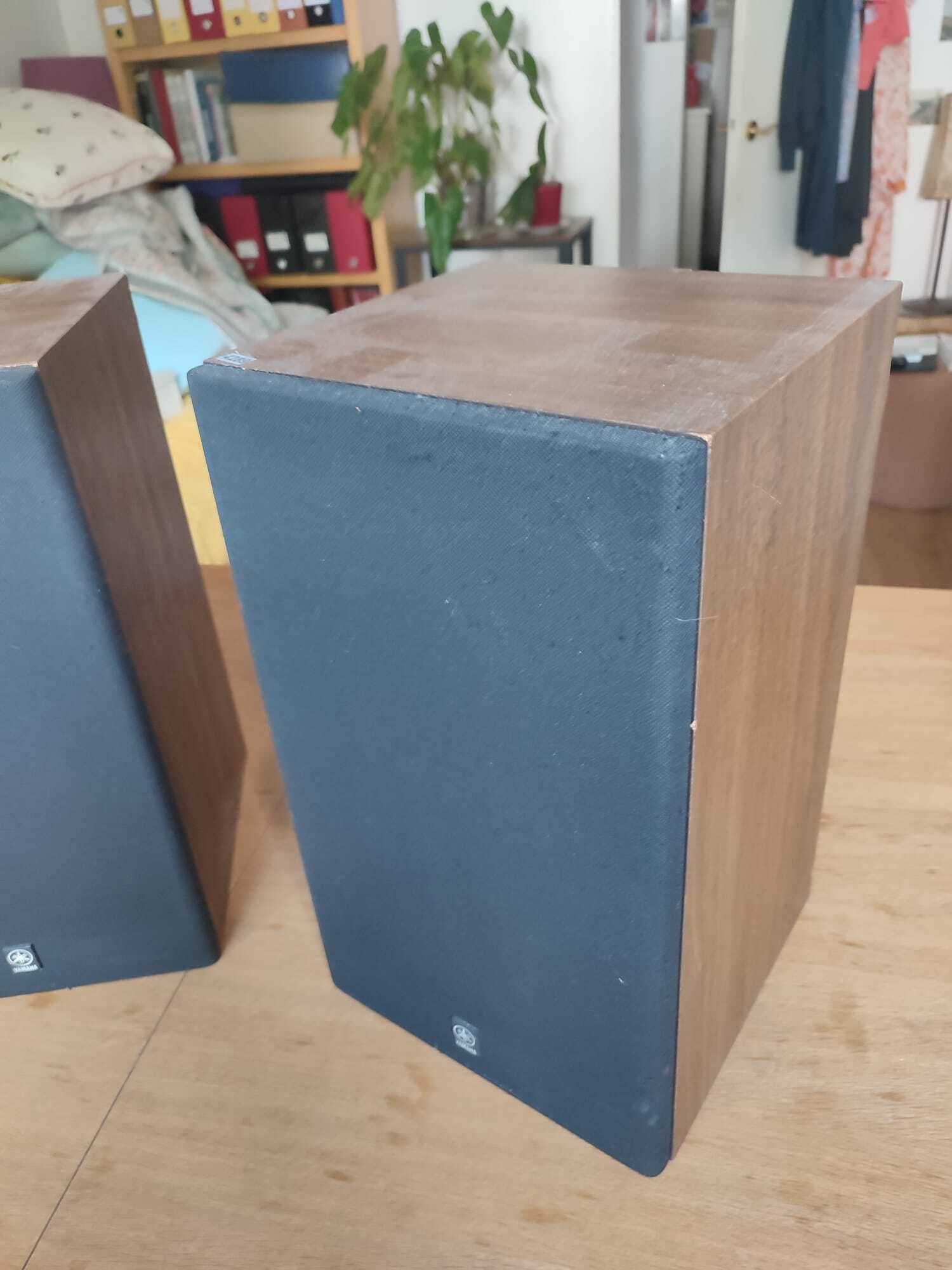 Vds RARE Yamaha NS-635 usées 