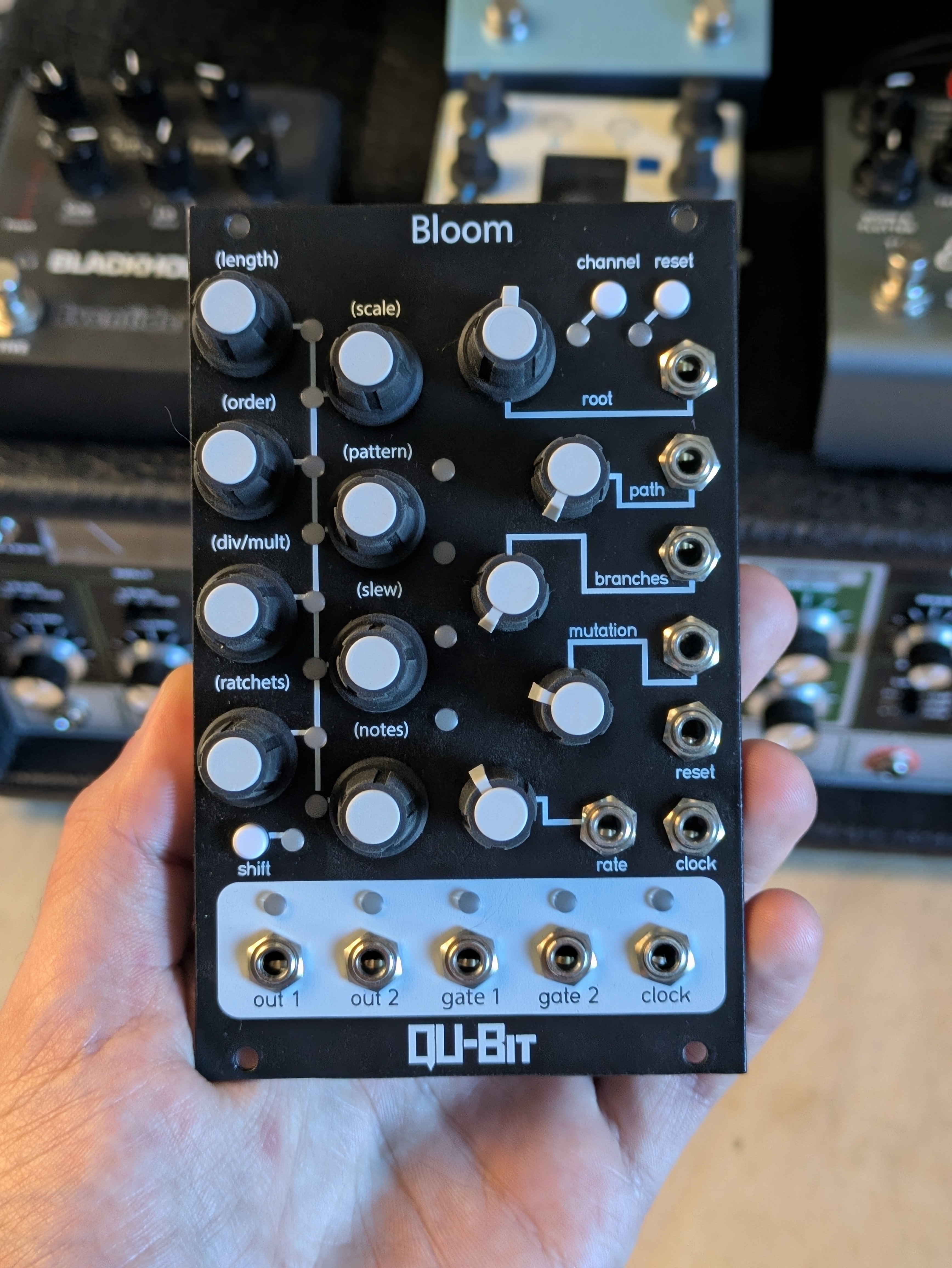 Qu-Bit Bloom