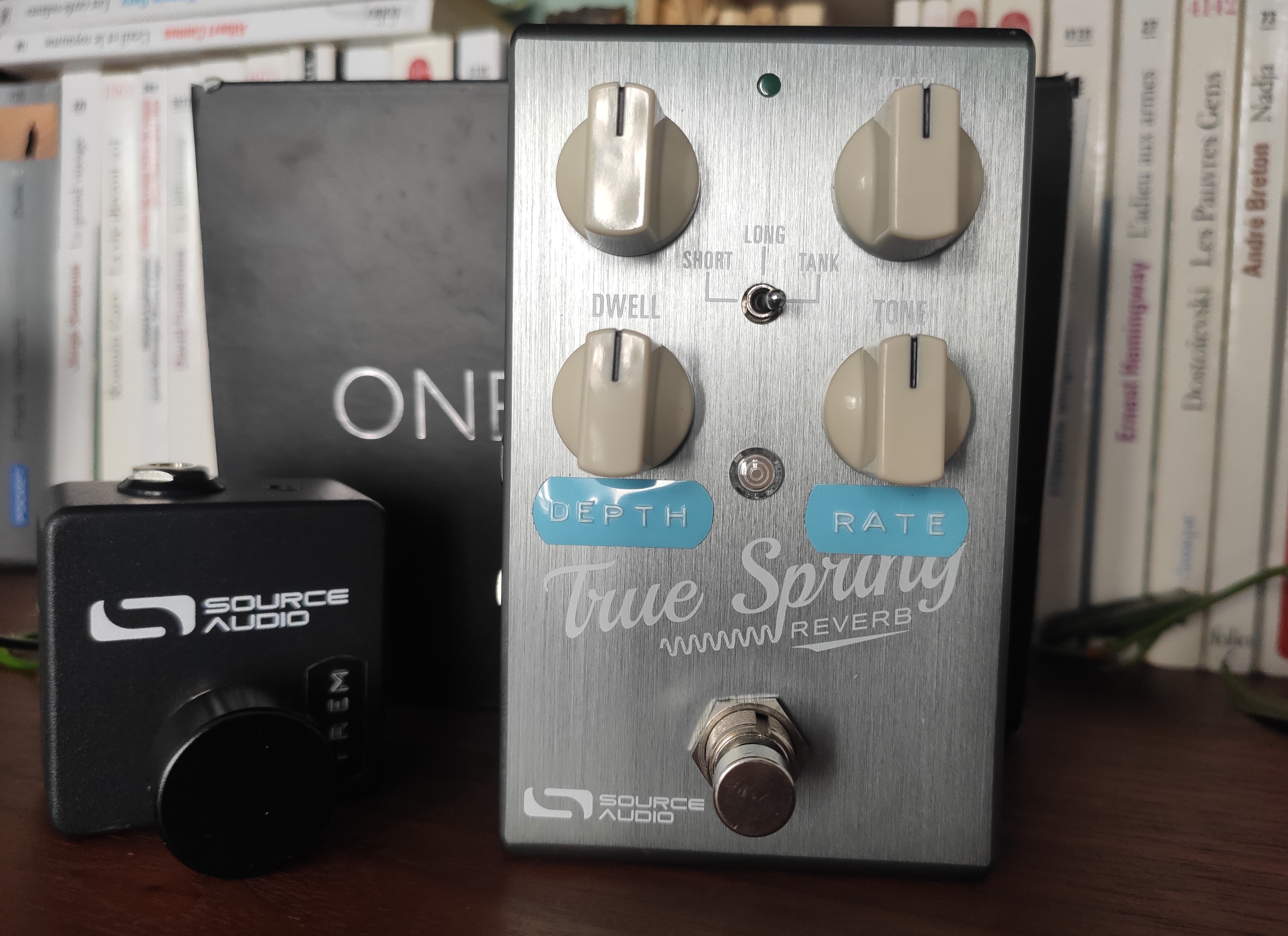 True Spring Reverb/Tremolo + Switch additionnel de Source Audio