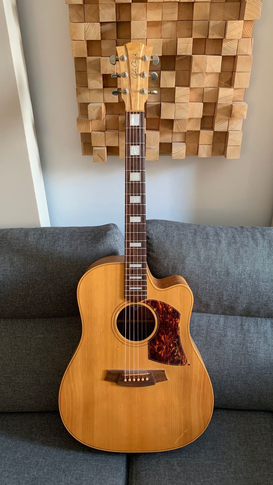 Vends Cole Clark FL2AC + étui
