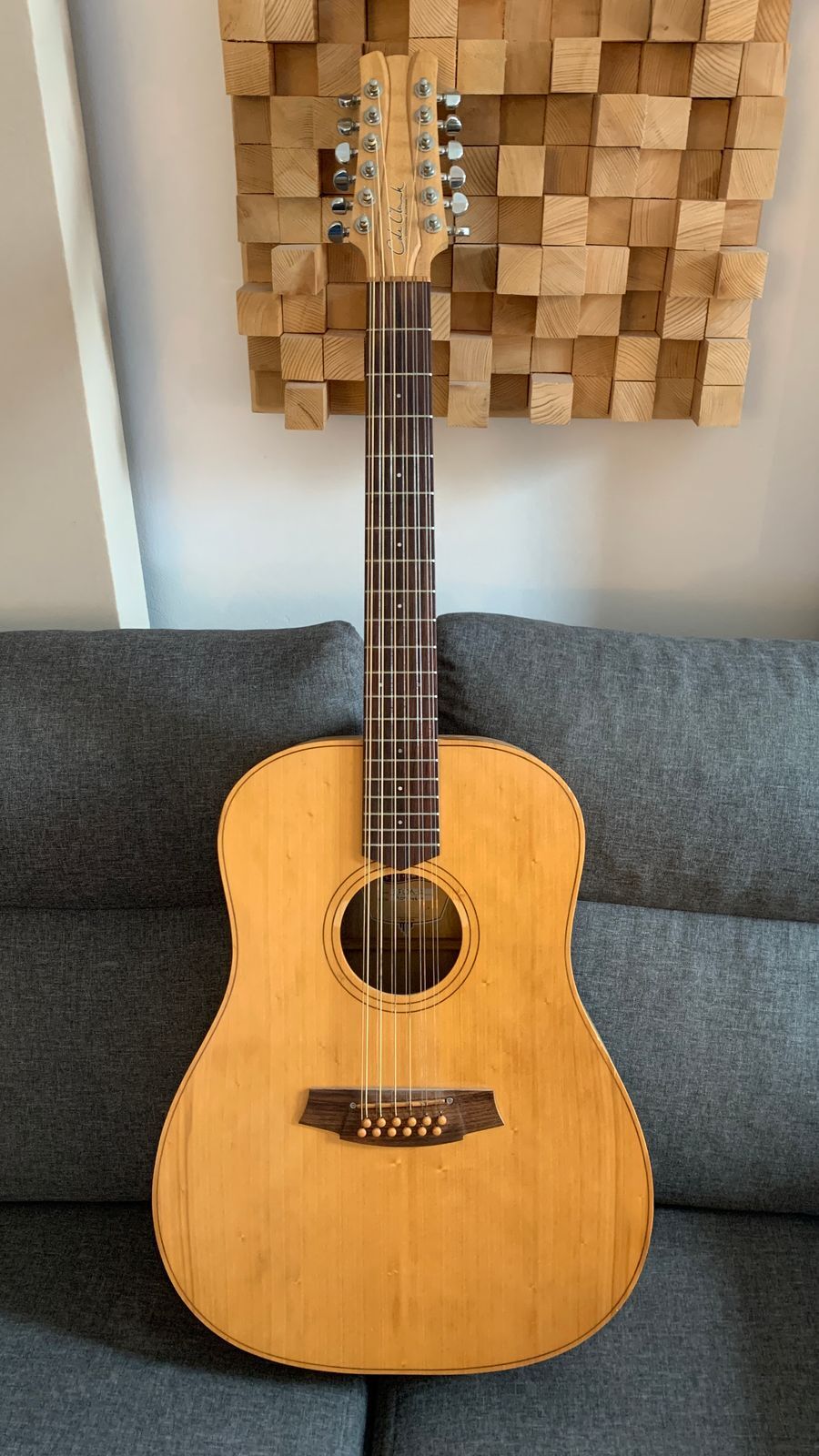 Vends Cole Clark FL1A 12 + étui