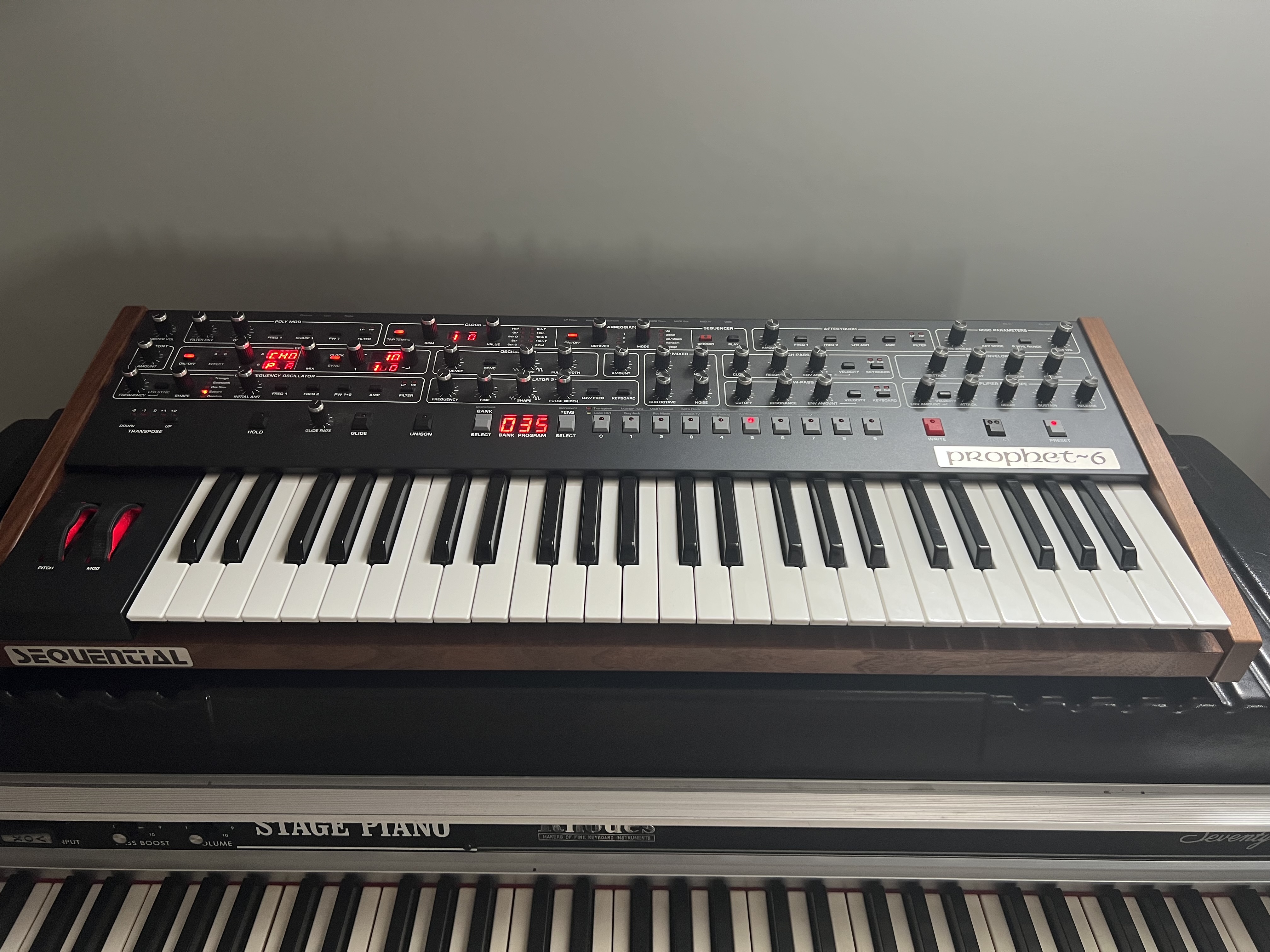 Sequential Prophet-6 (78597)