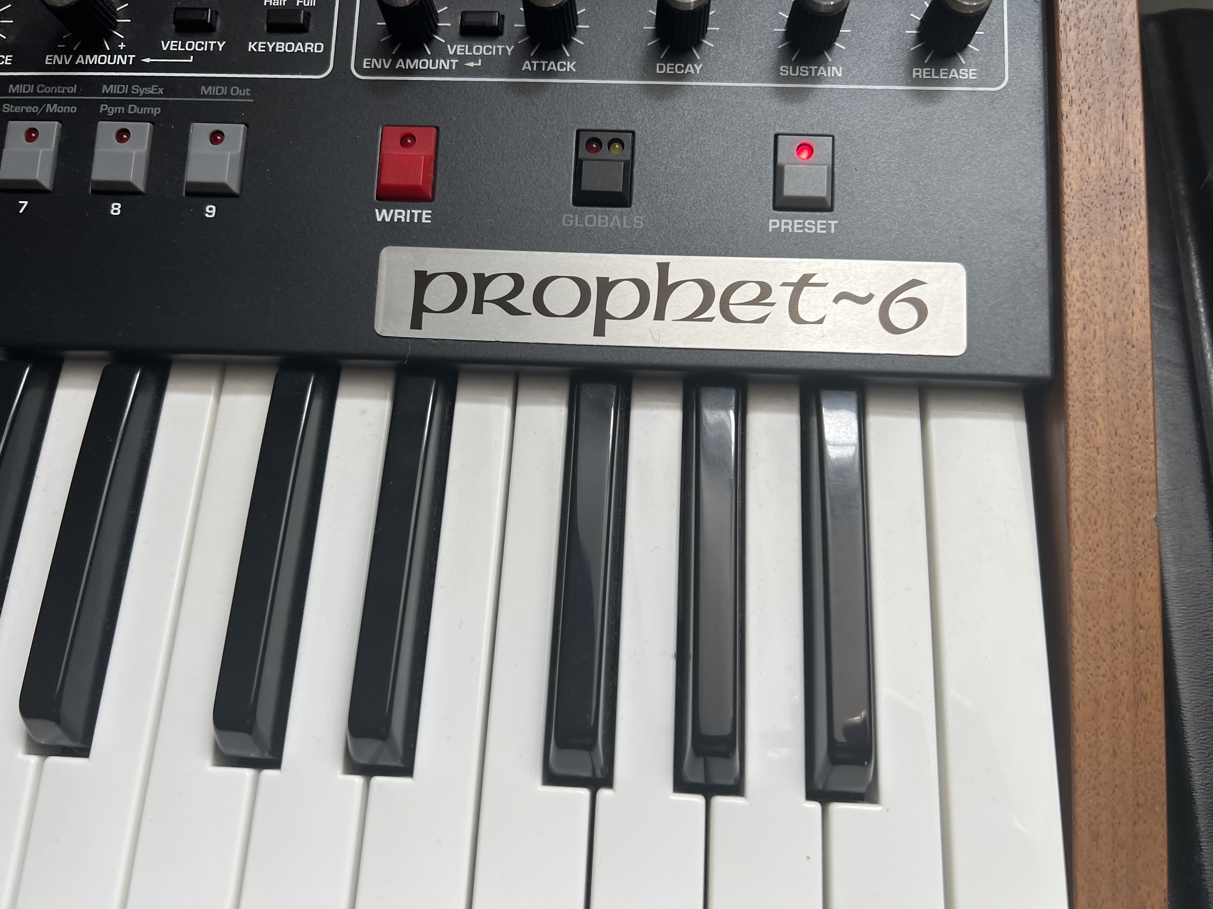 Sequential Prophet-6 (79449)