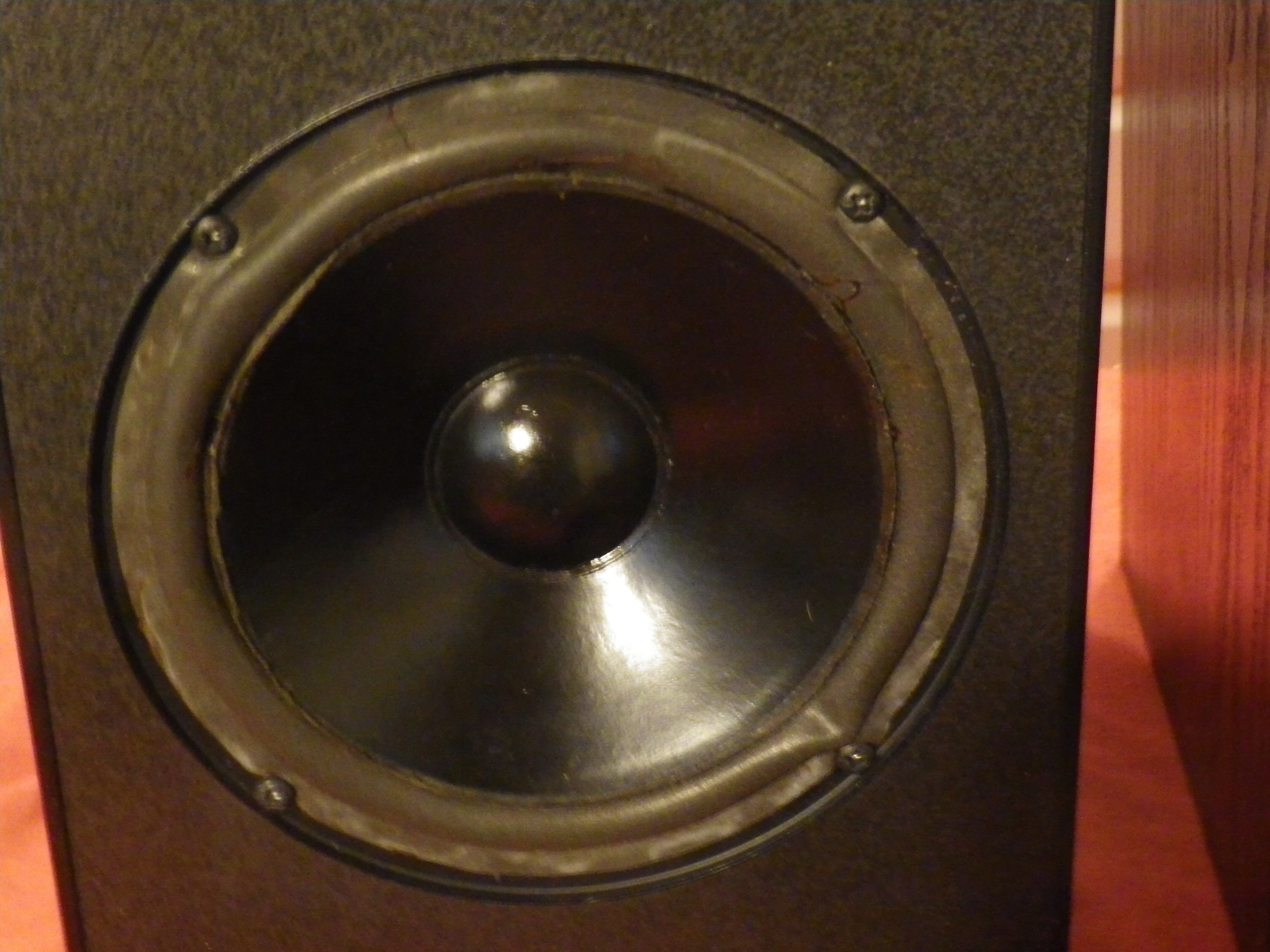 IMGP2786