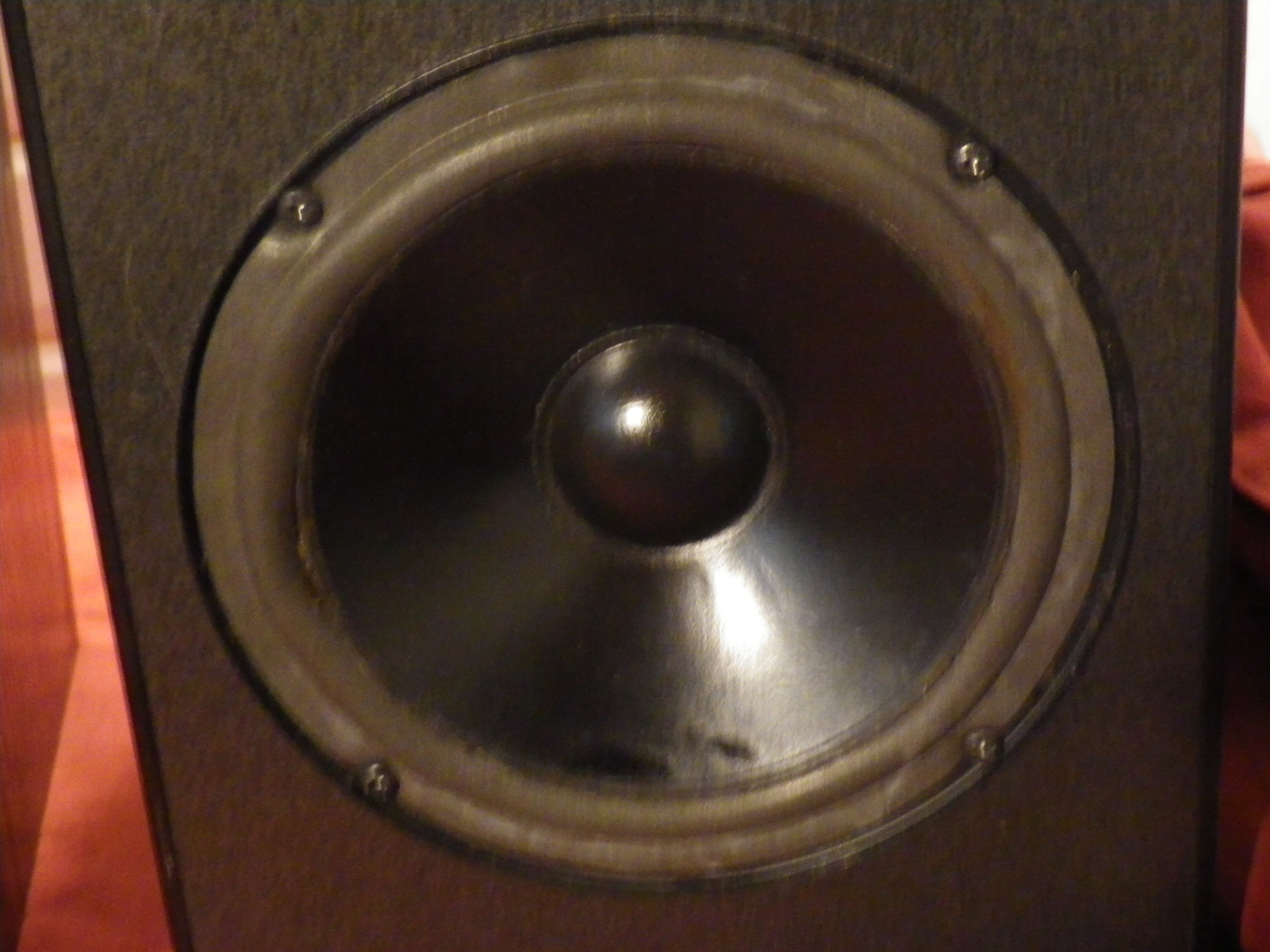 IMGP2788