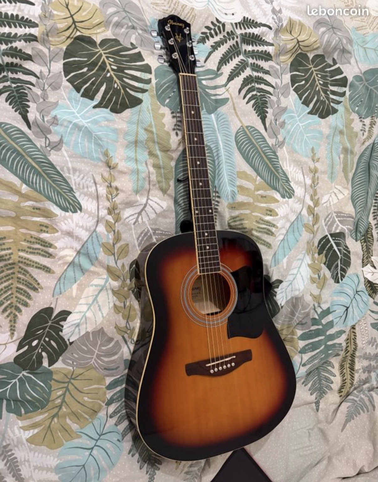 Guitares acoustiques Ibanez