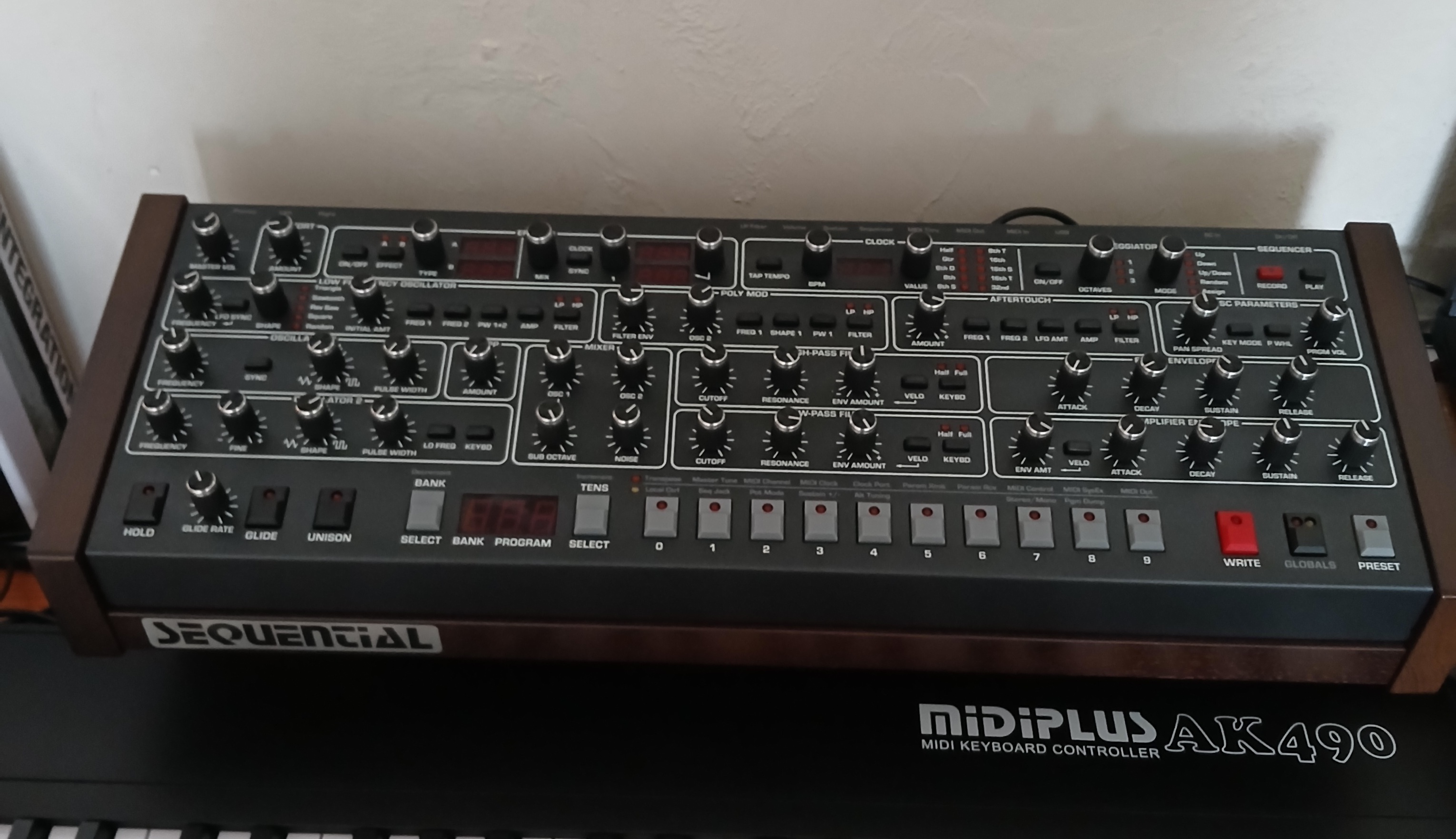 Prophet 6 MODULE  +++ 