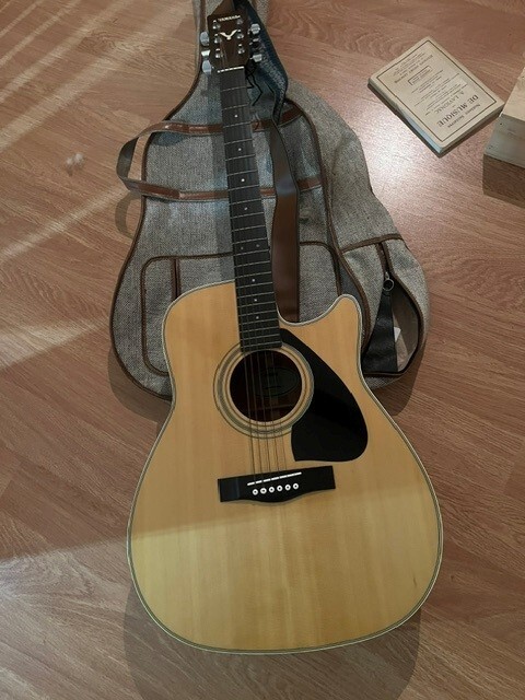 Guitare folk YAMAHA FG 420 C