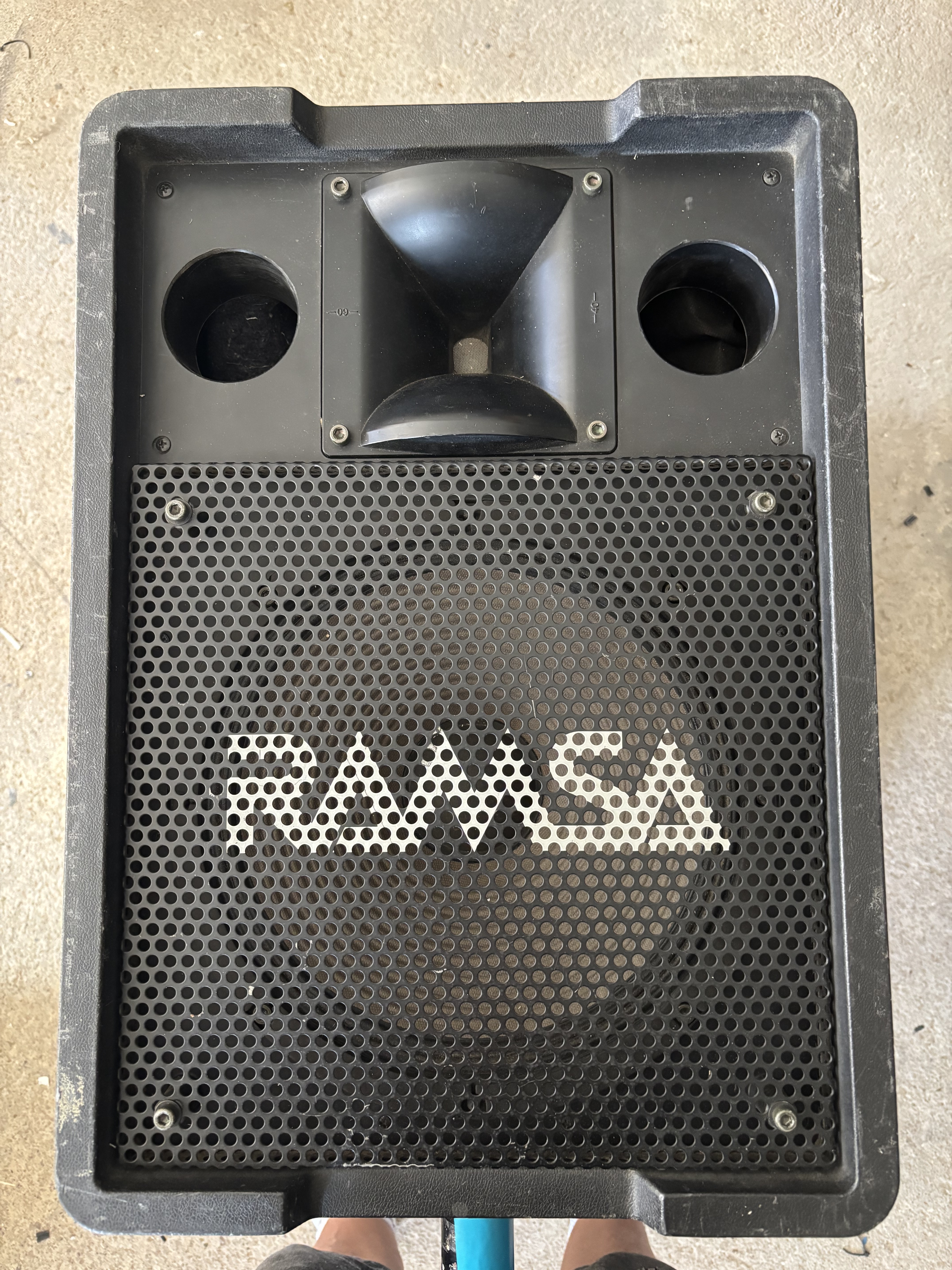 Enceinte Ramsa wsae 200