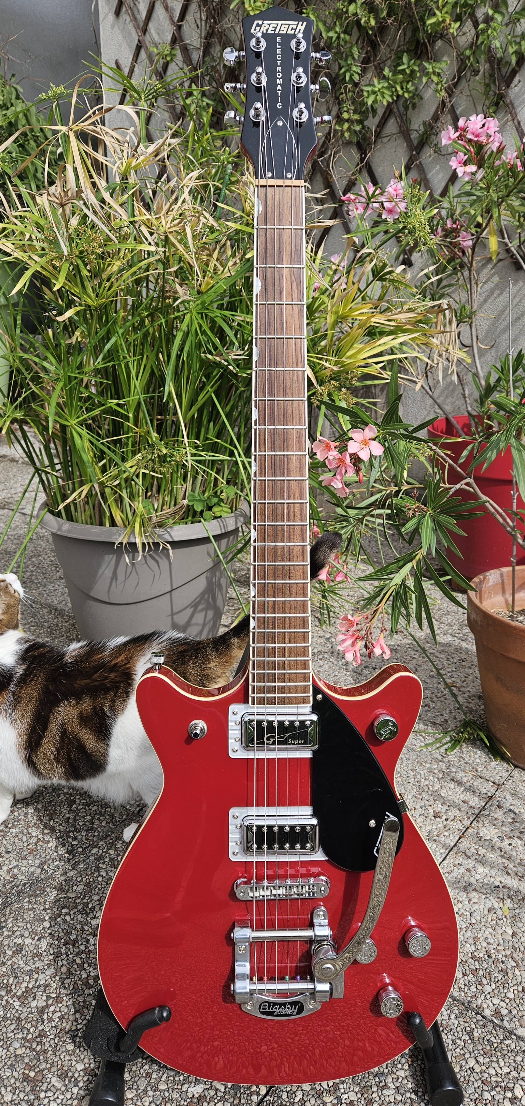 Vends Gretsch G5655T CB