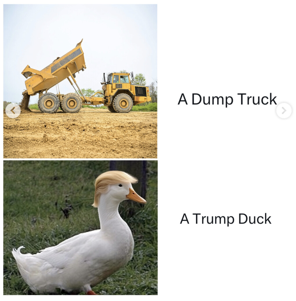 6943788.png 6943788.png