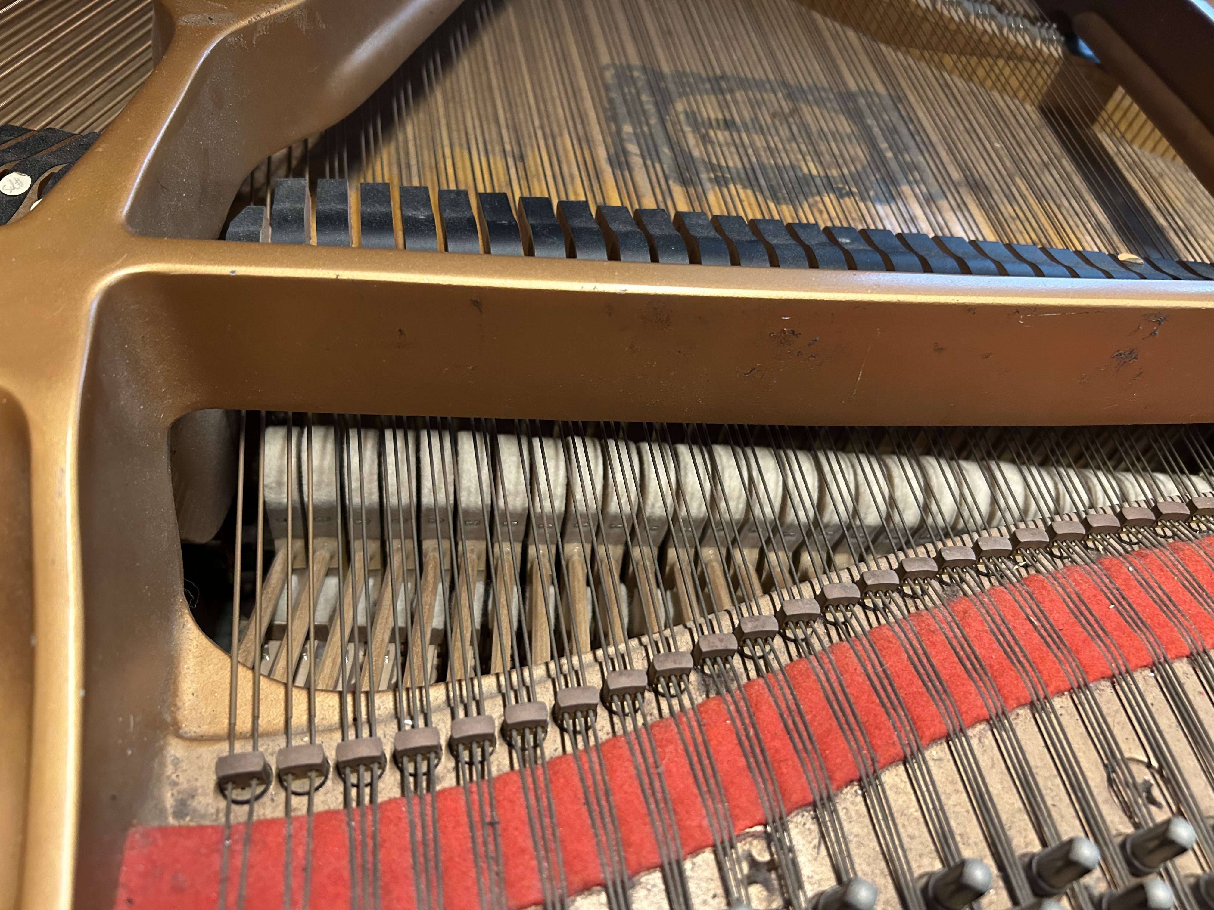 Yamaha C2 (5384)