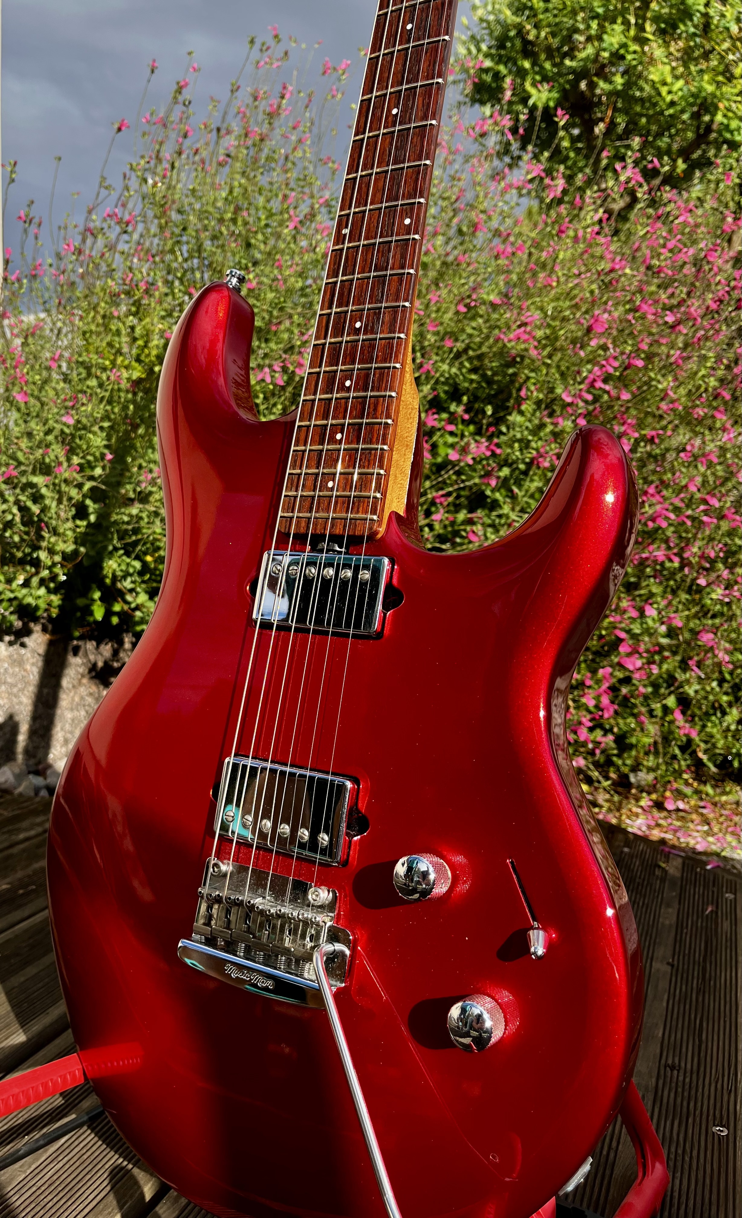 Music Man Luke 3 