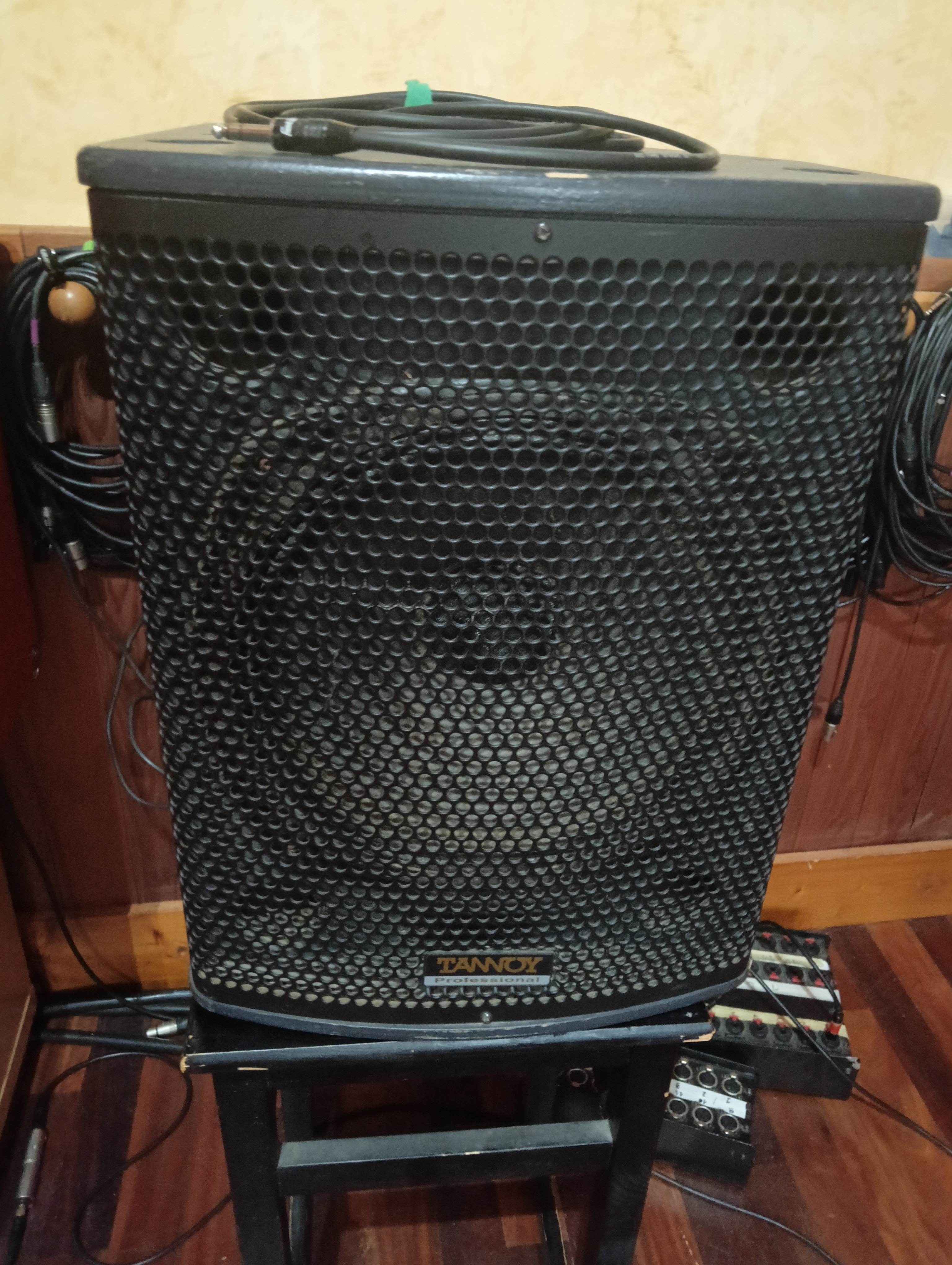 Tannoy T12 coax (25088)