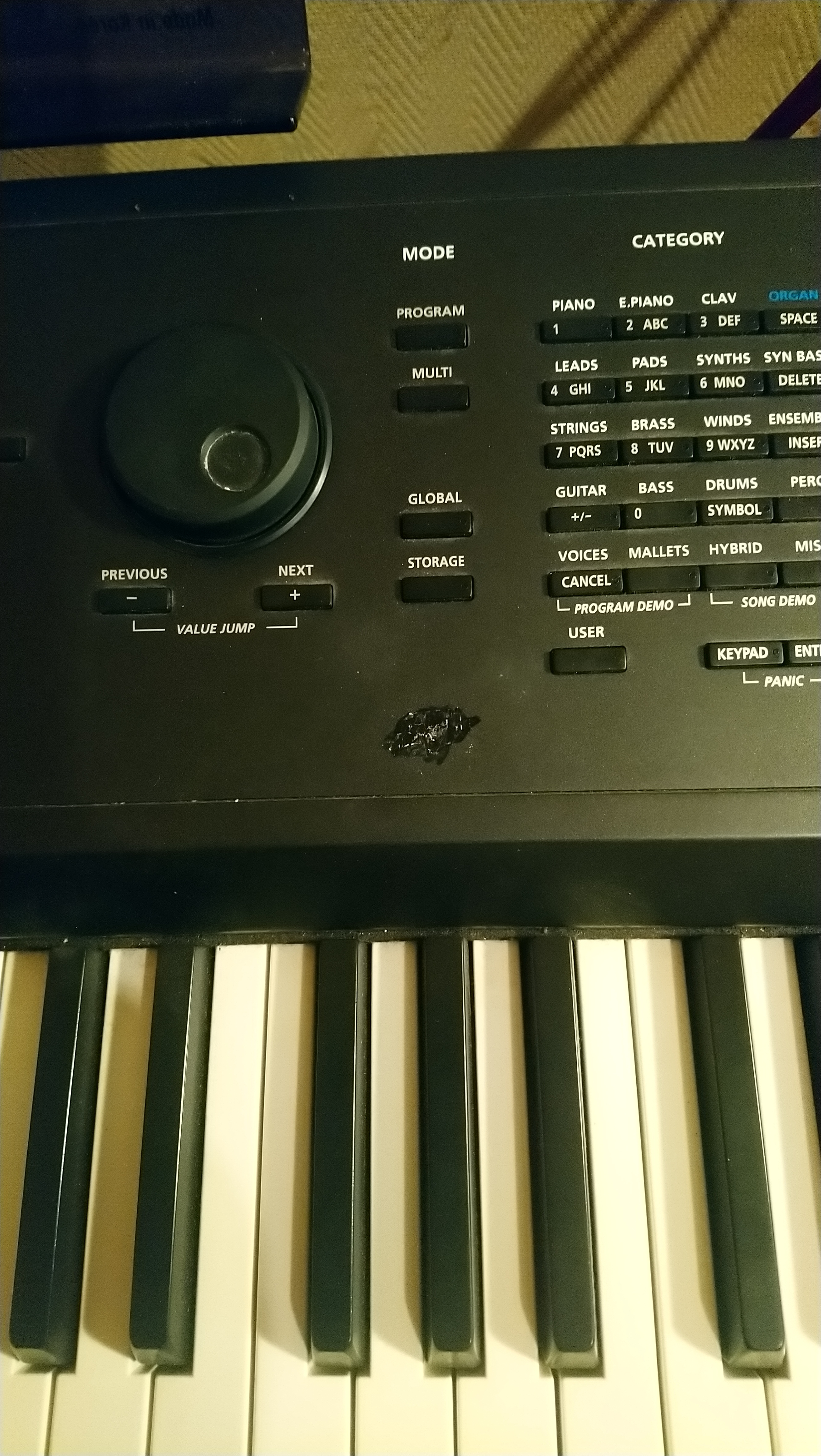 Kurzweil Forte (78082)