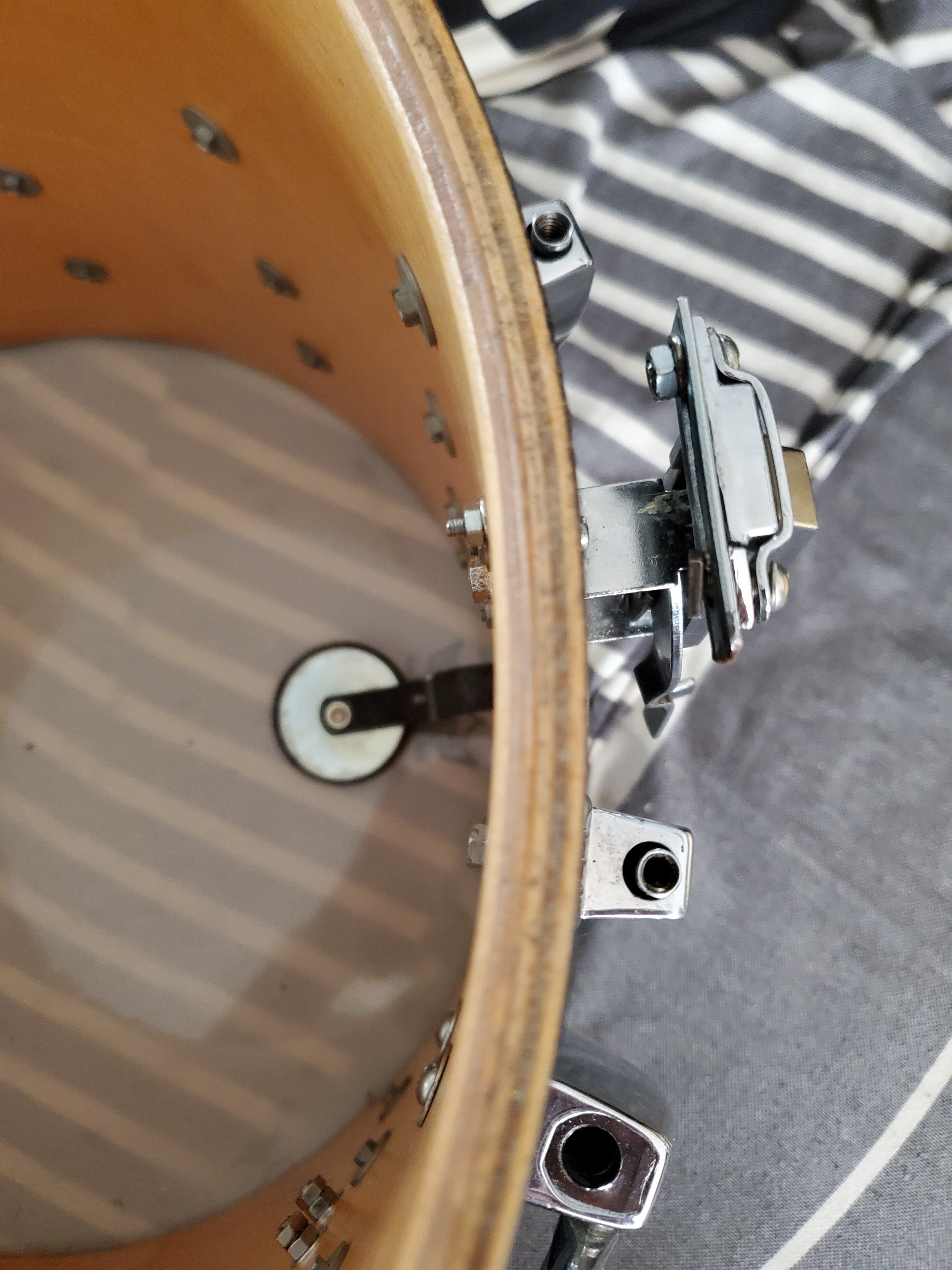 Ludwig Drums Coliseum Snare (1148)