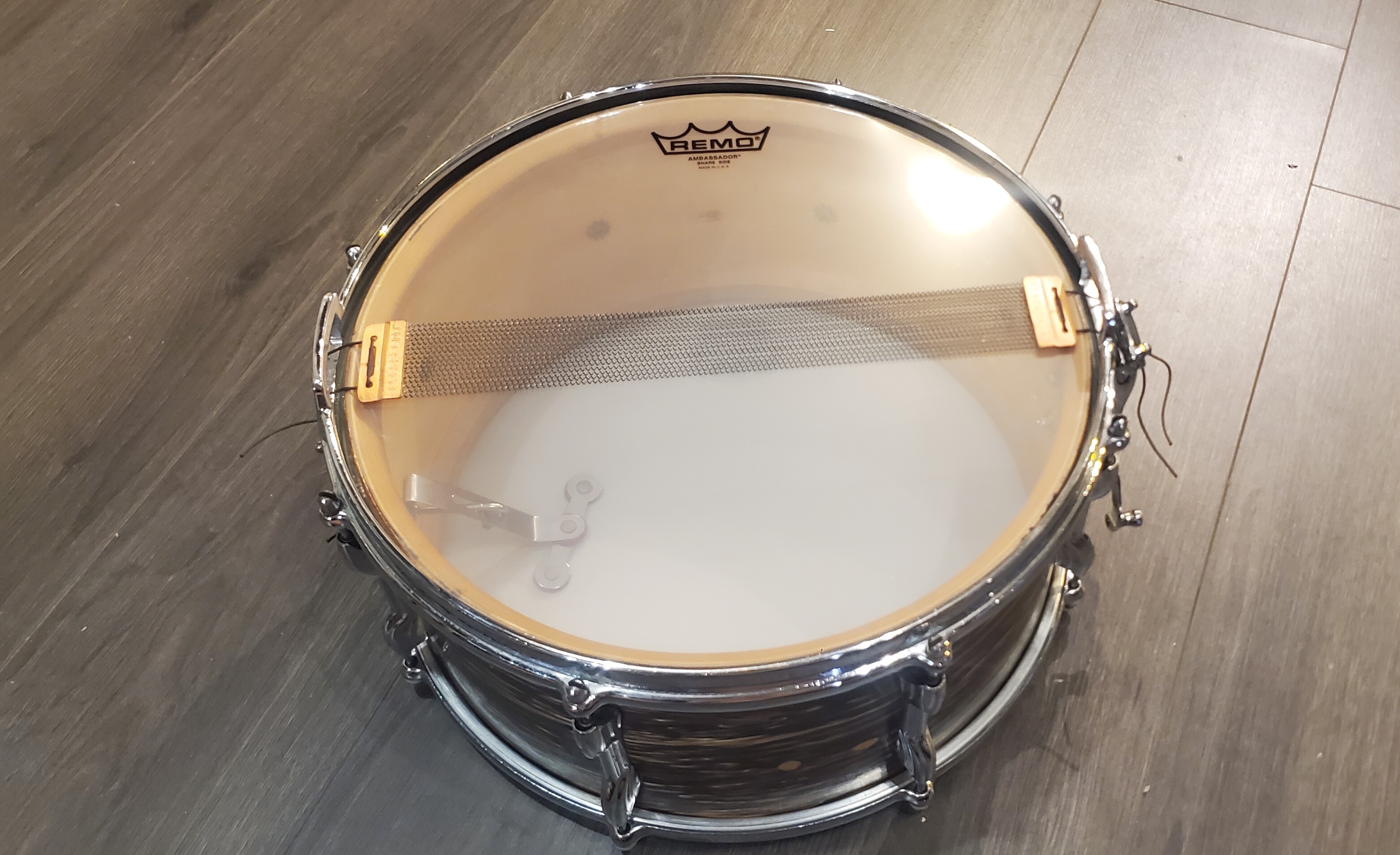 Premier Royal Ace (86845)