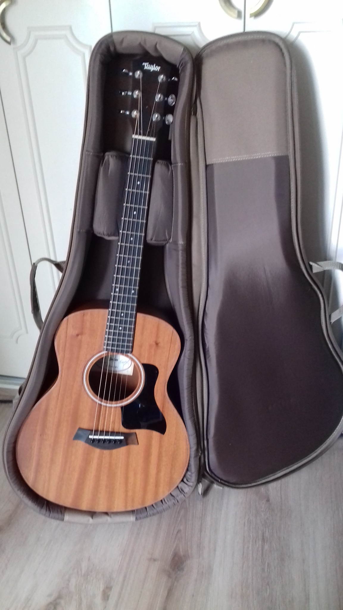 Taylor GS Mini-Mahogany-Acajou