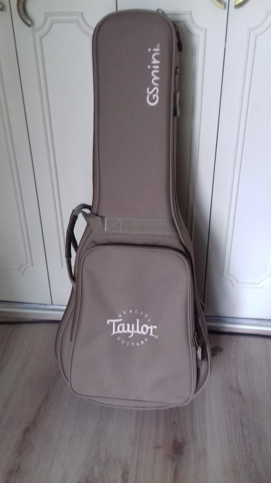 Taylor vue sacoche