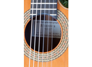 Alhambra Guitars 9P CW (27602)