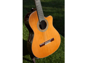 Alhambra Guitars 9P CW (11253)