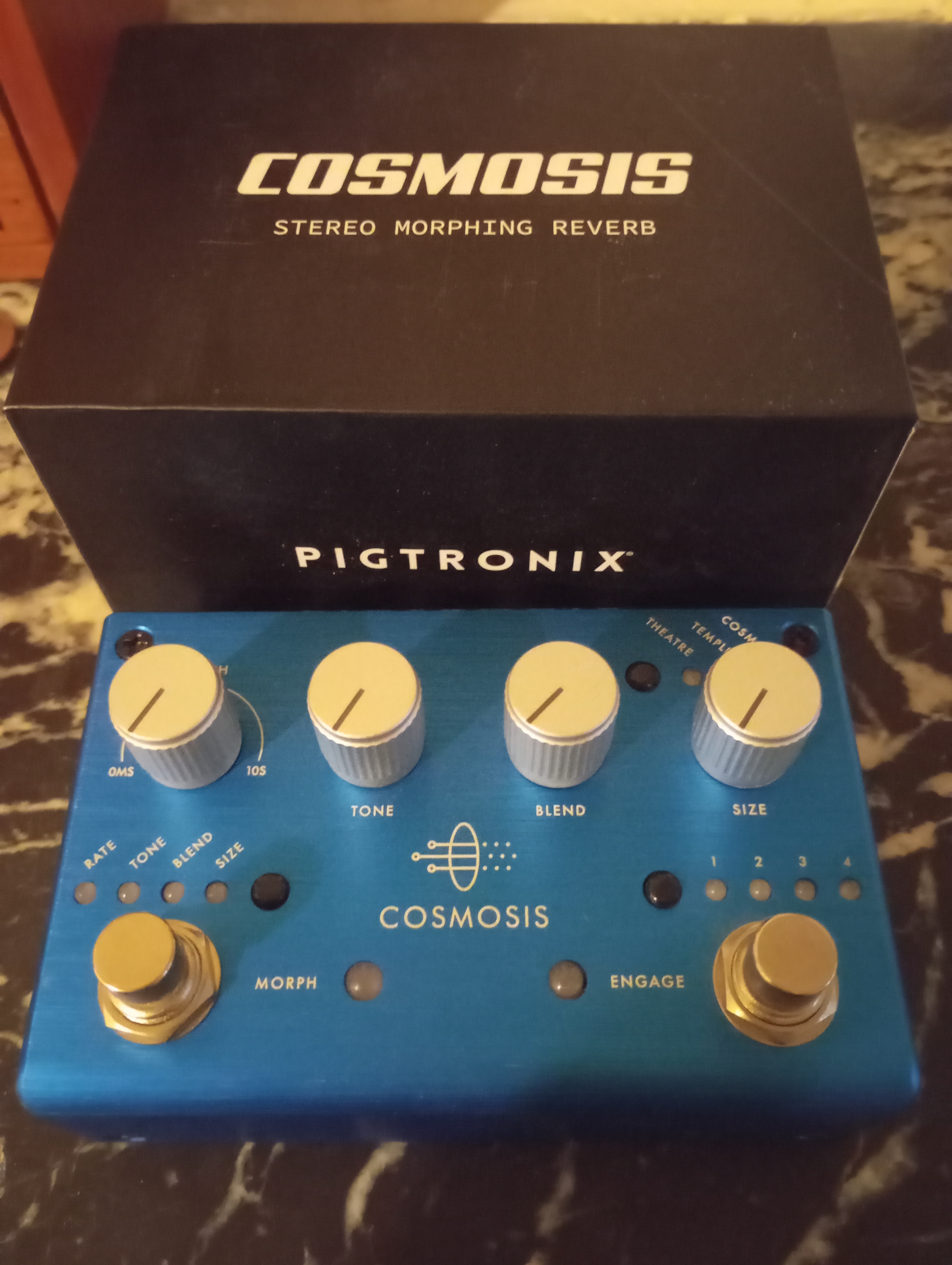 Reverb Pigtronix Cosmosis
