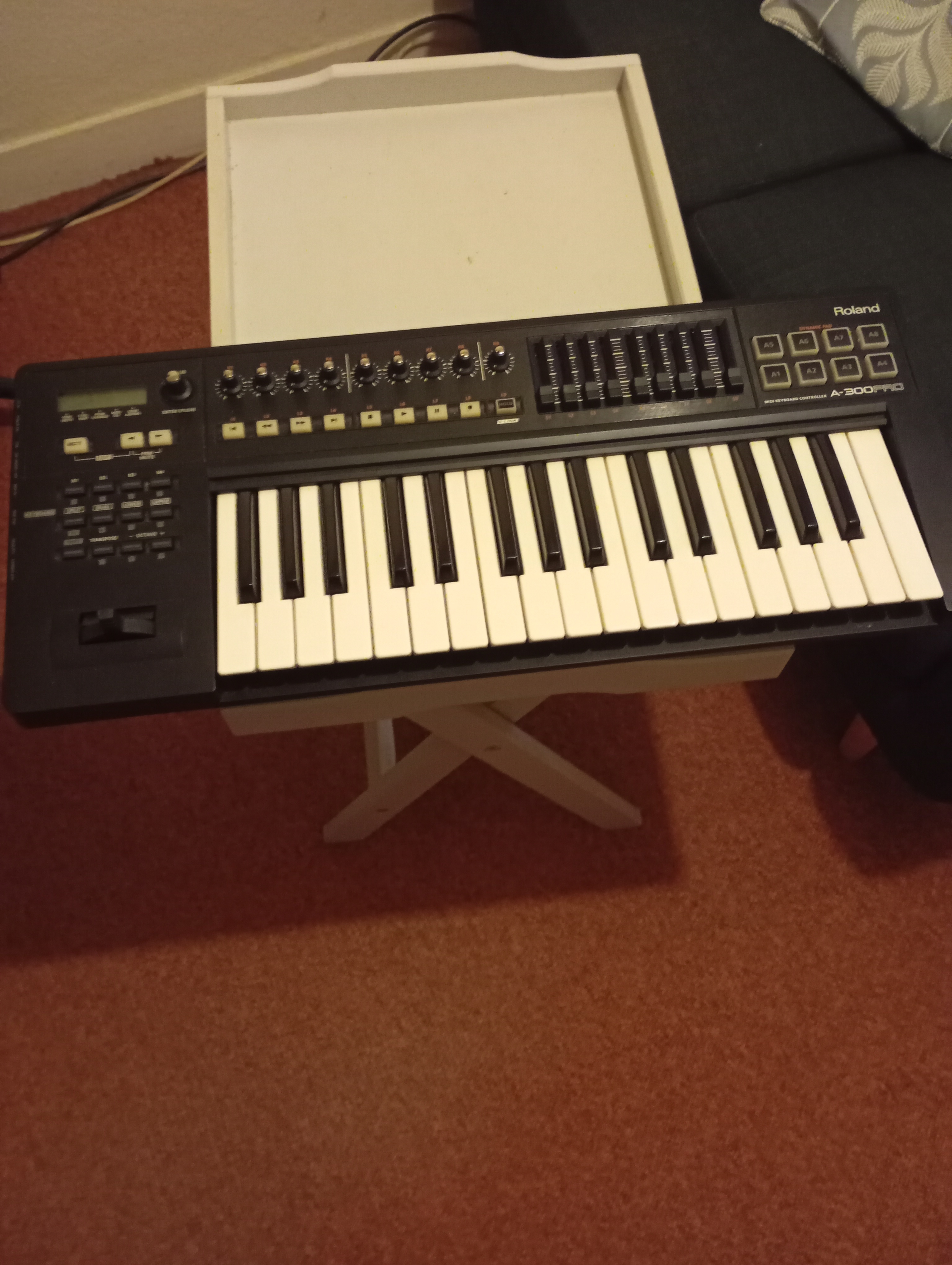 Roland A-300PRO