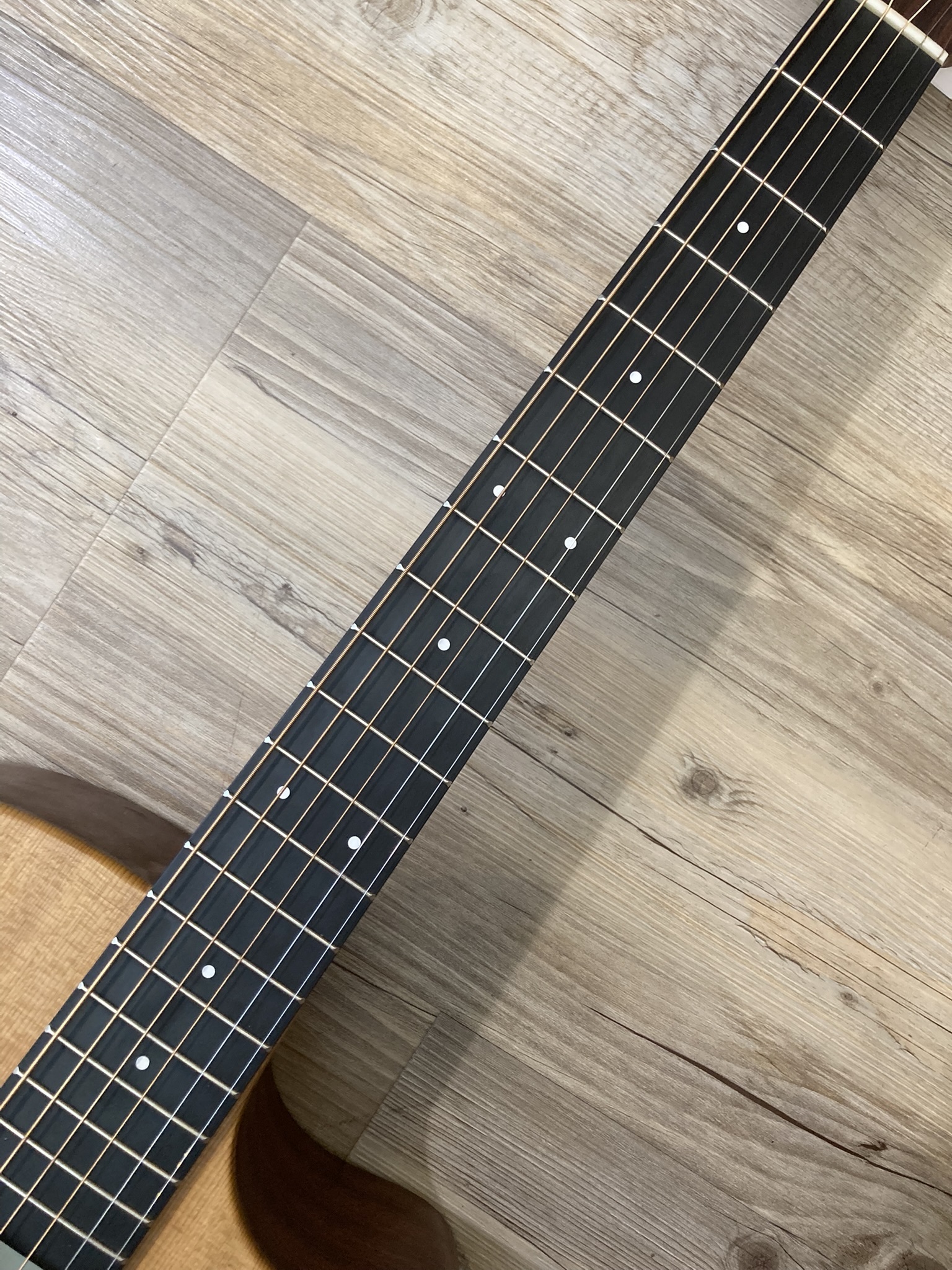 Martin & Co GPCX1AE (1729)