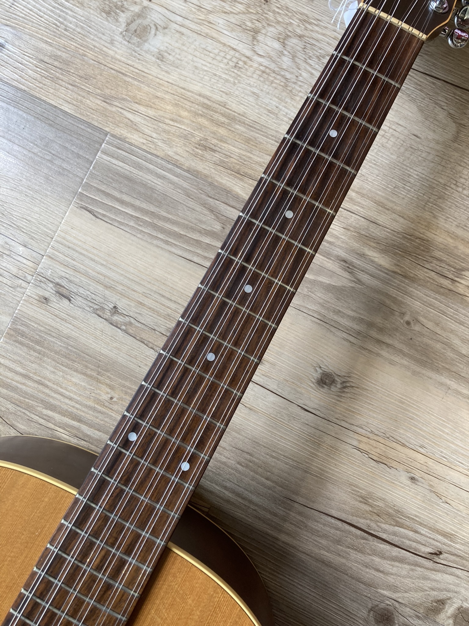Seagull Coastline S12 Cedar (74754)