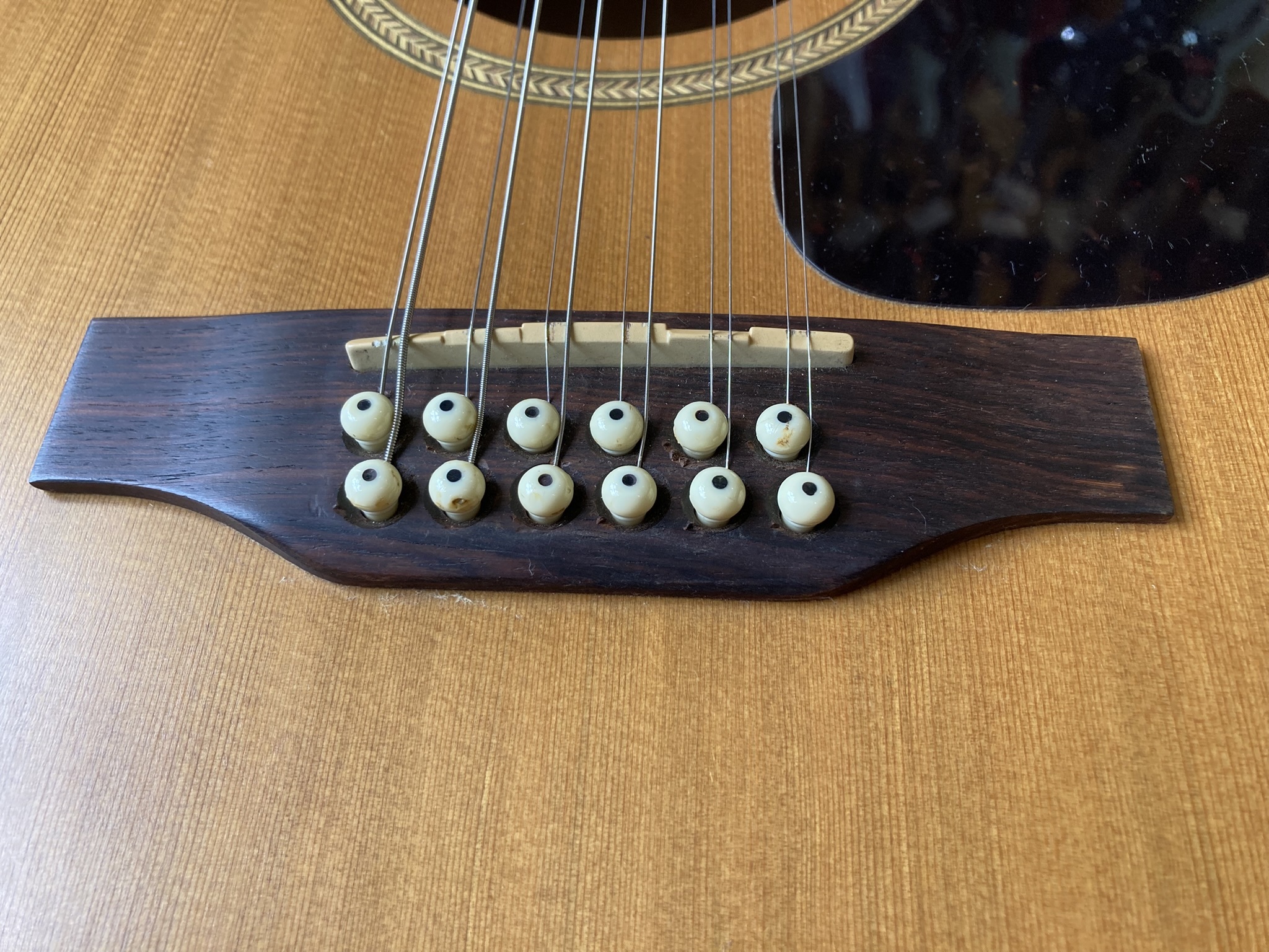 Seagull Coastline S12 Cedar (62452)