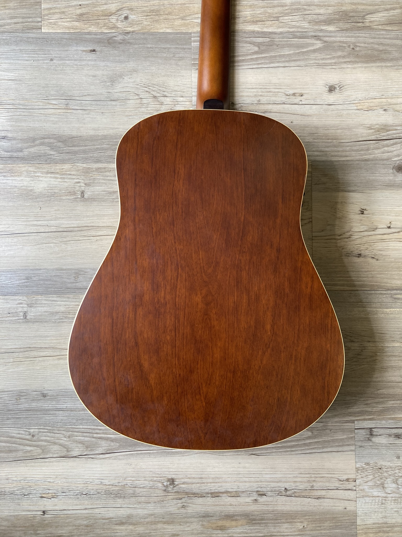 Seagull Coastline S12 Cedar (74051)