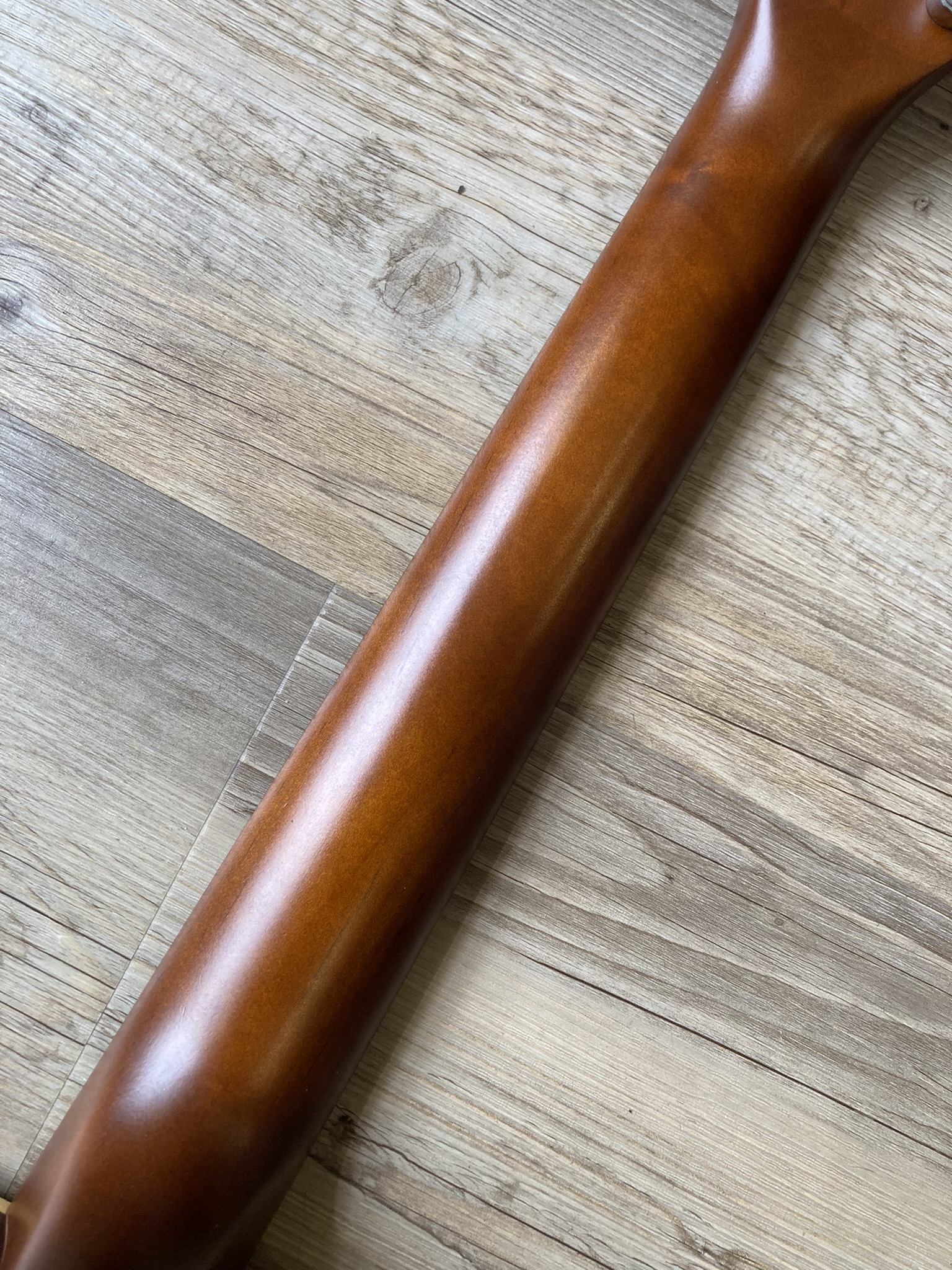 Seagull Coastline S12 Cedar (45477)