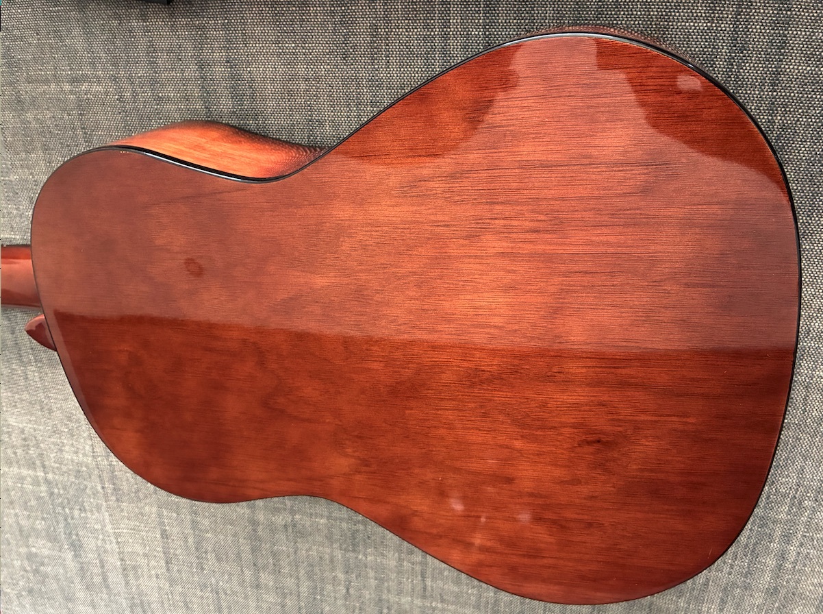 Guitare Vue Dos