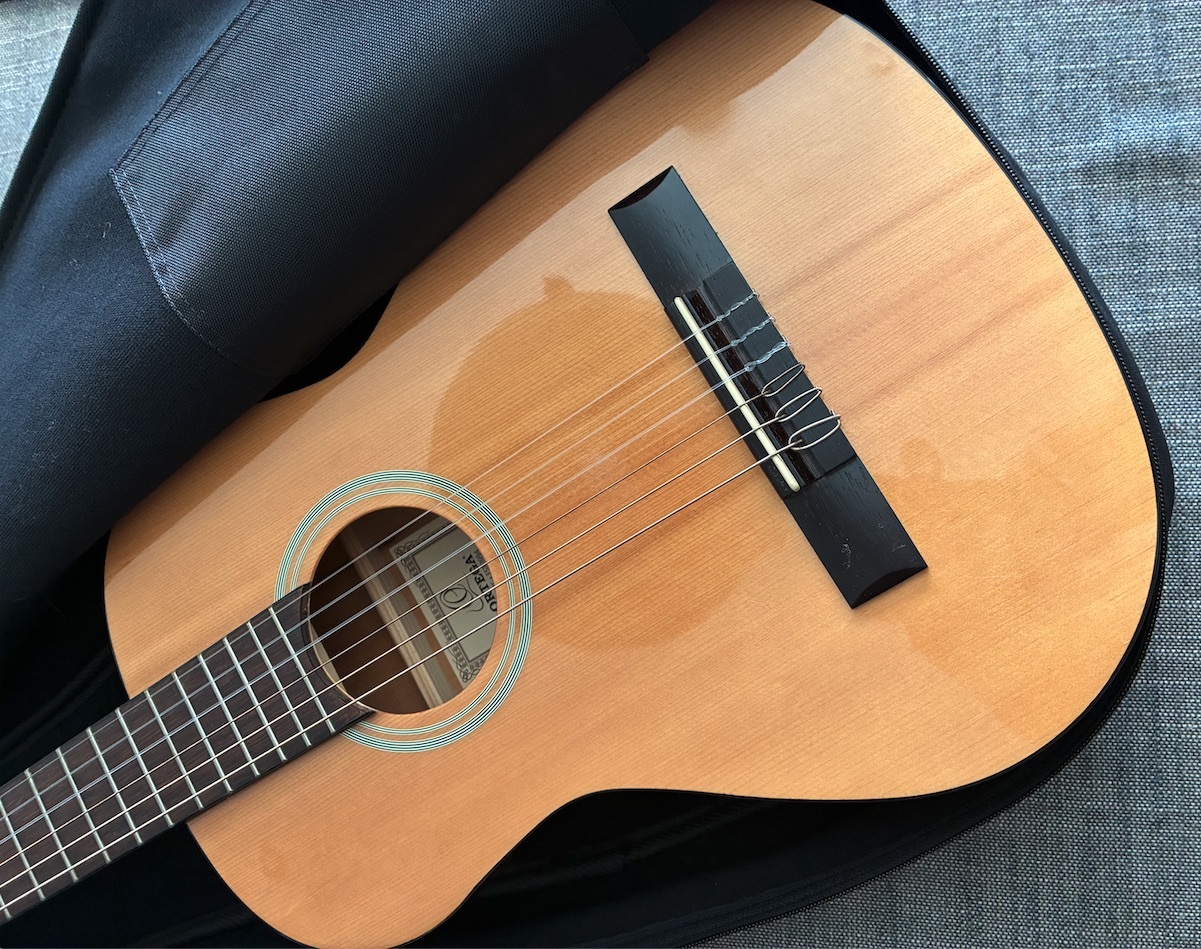Guitare Face dans Housse