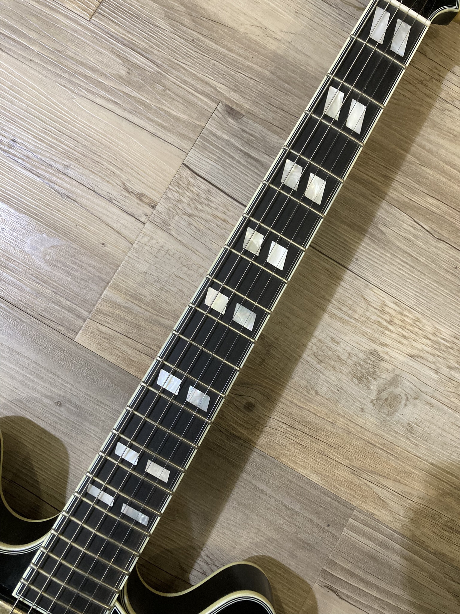 Eastman T59/TV (43681)