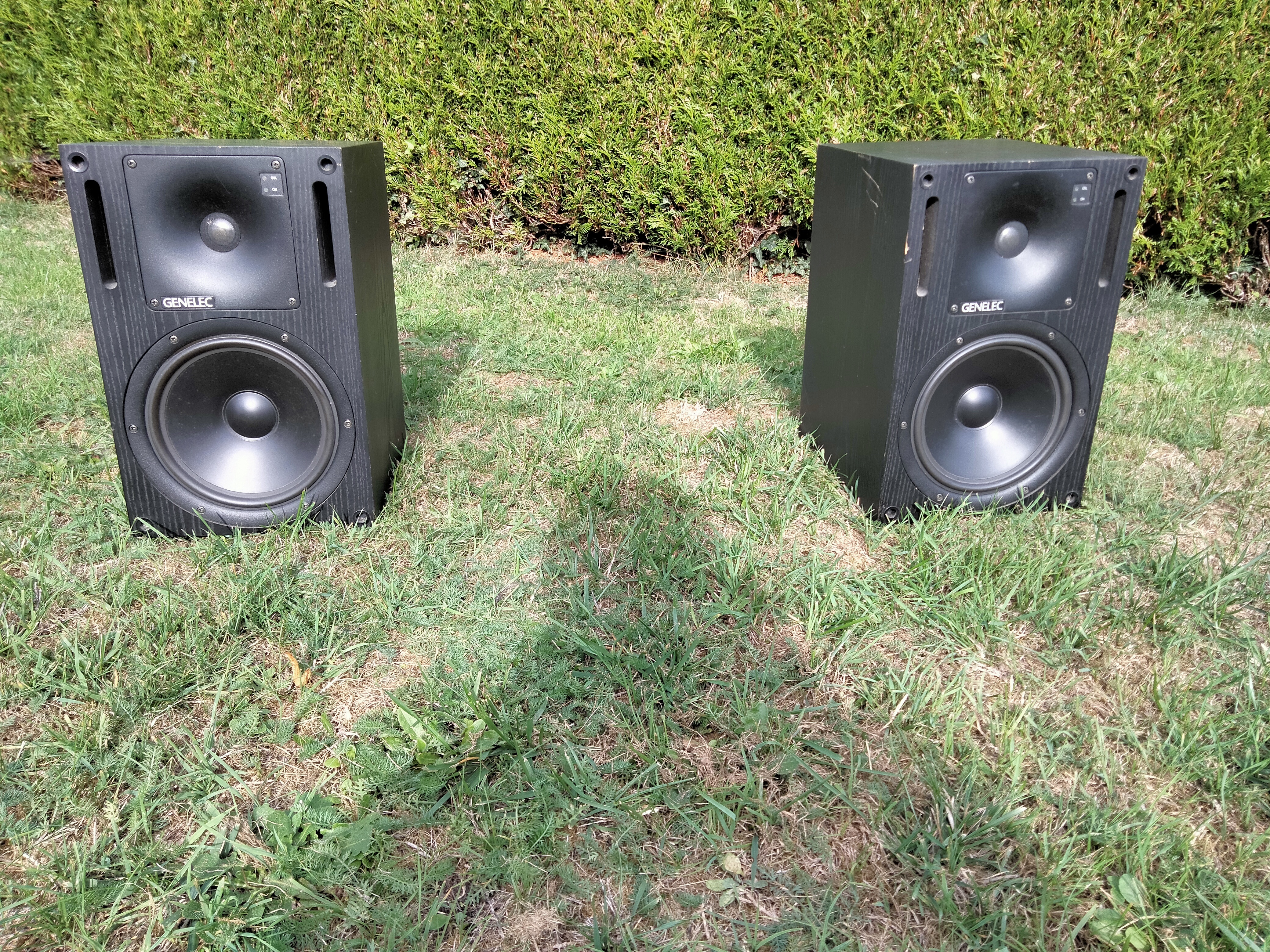 Genelec 1031A