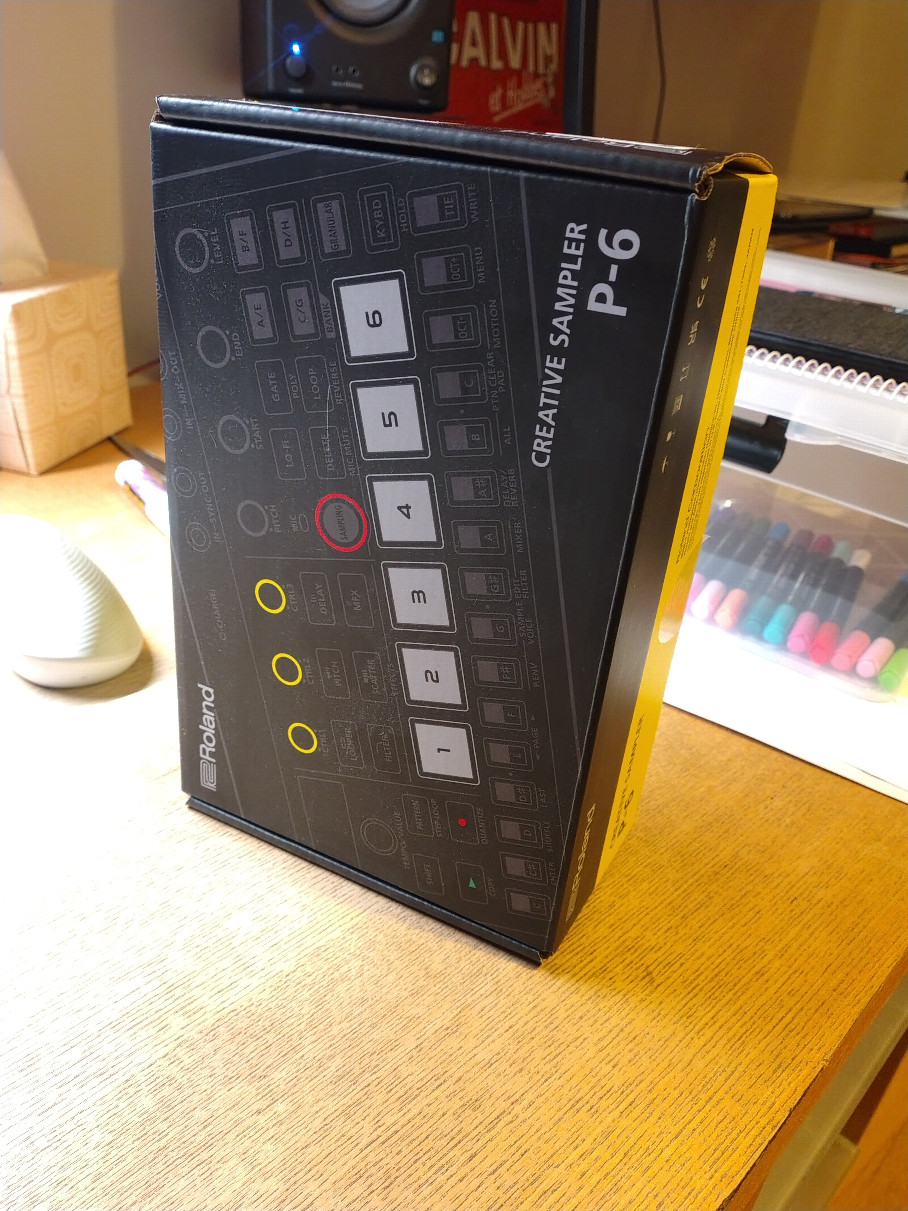 FDPI - ROLAND P6 - looper
