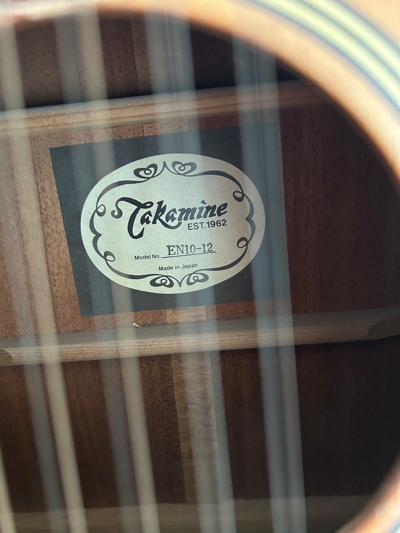 Vends Takamine 12 corde EN10-12