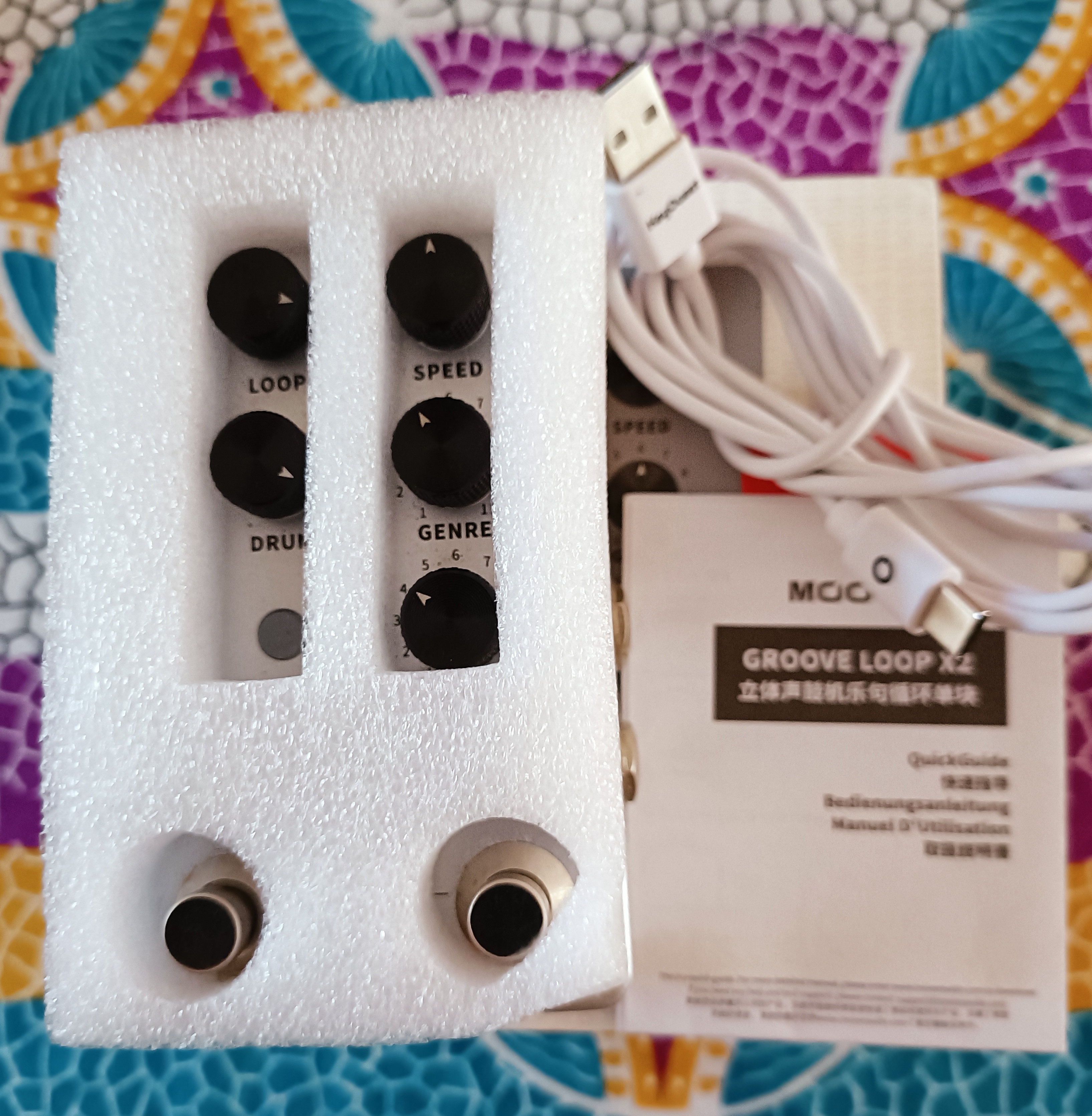 Mooer Groove Loop X2 (66697)
