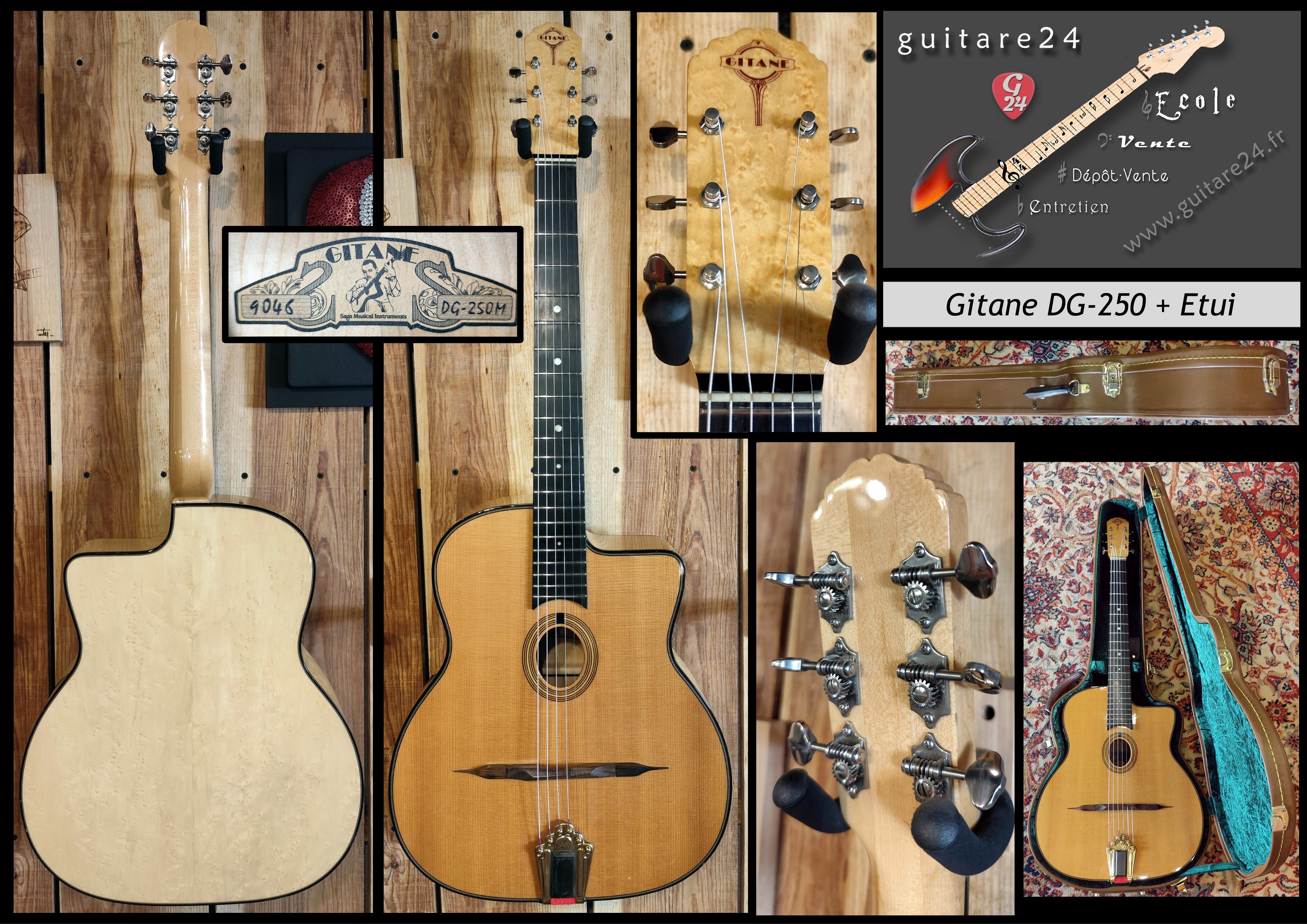 Gitane DG-250 + Etui