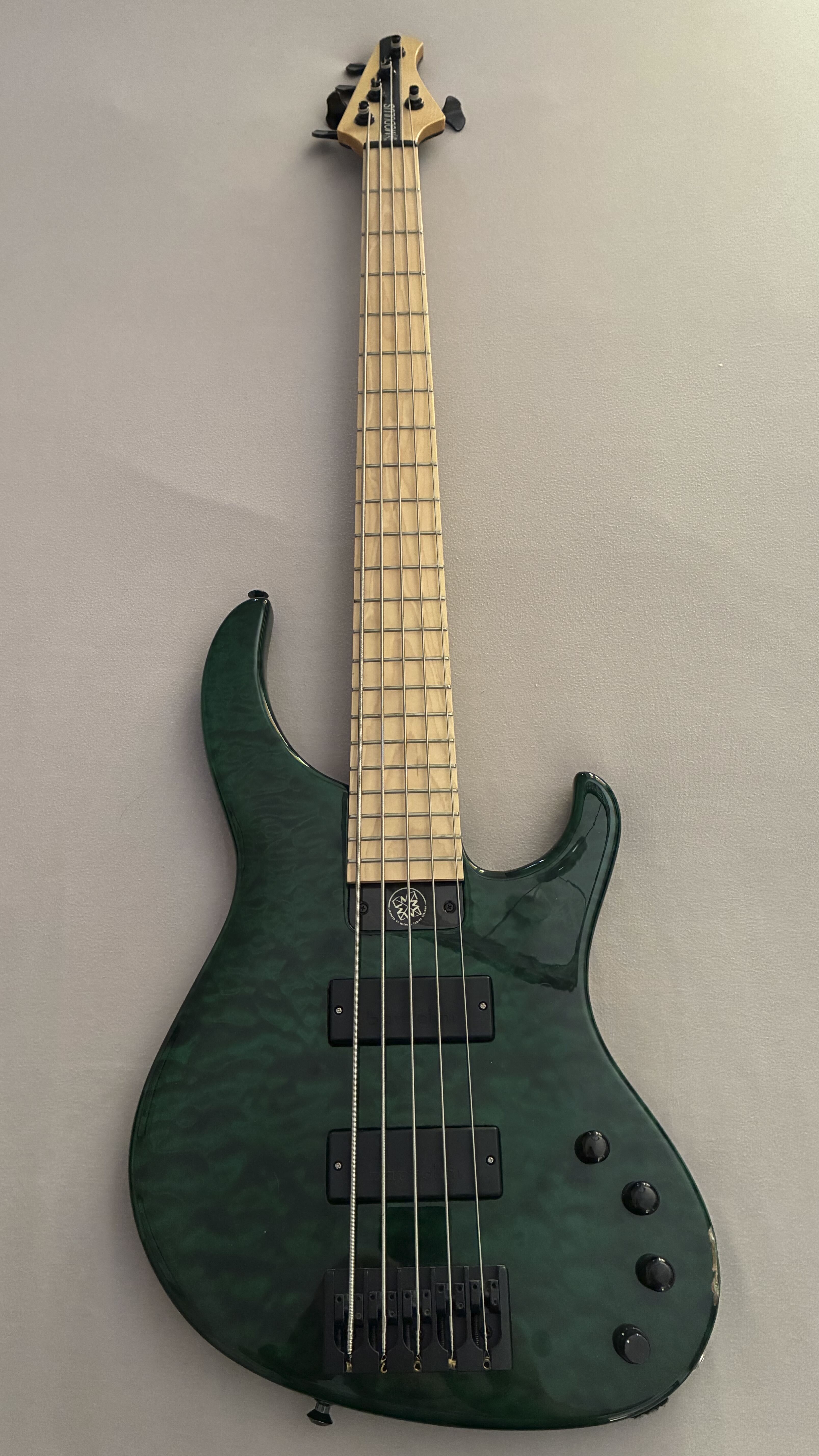 Basse Modulus Genesis 5 cordes