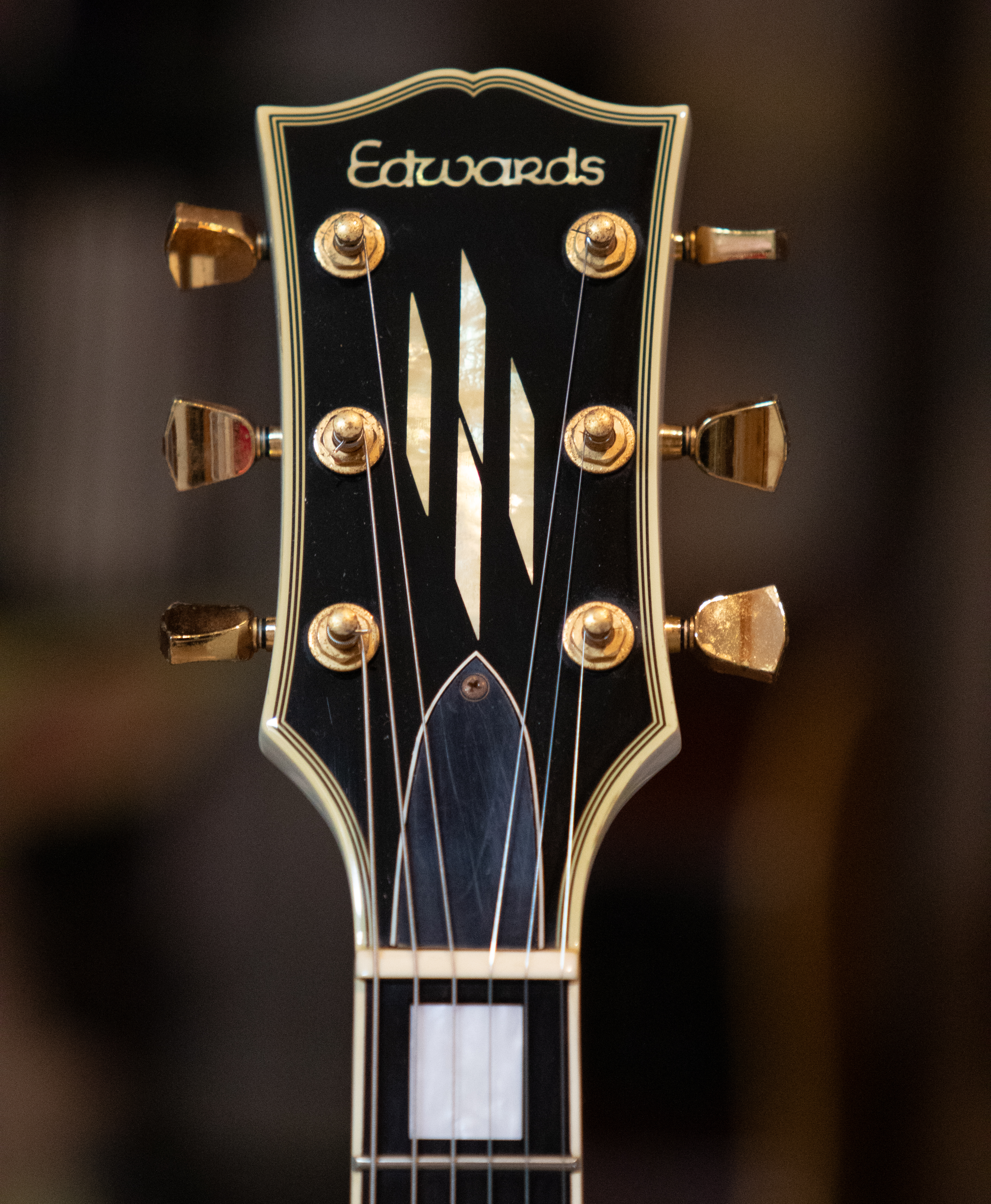 Edwards E-LP-130CD/P (79879)