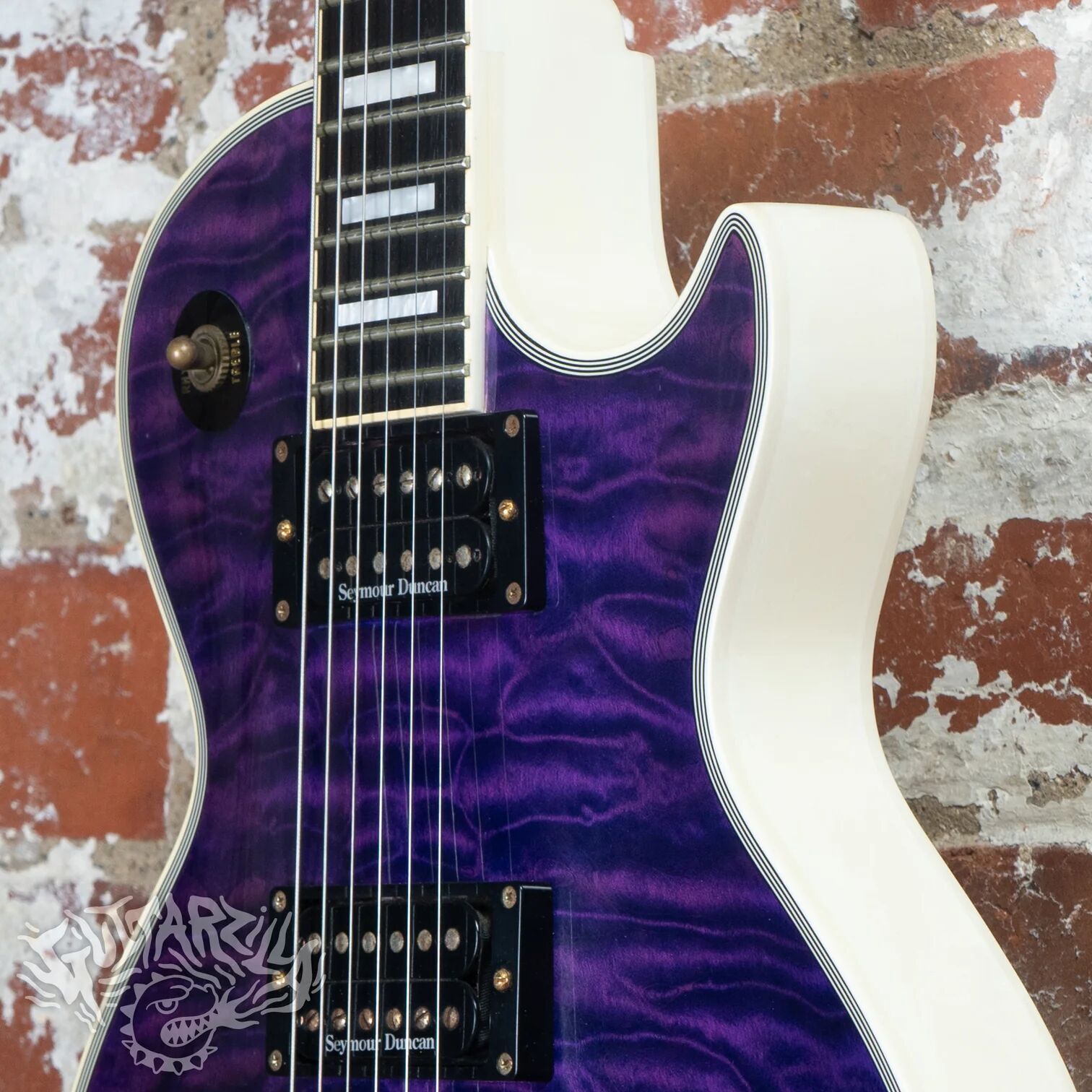 Edwards E-LP-130CD/P (23260)