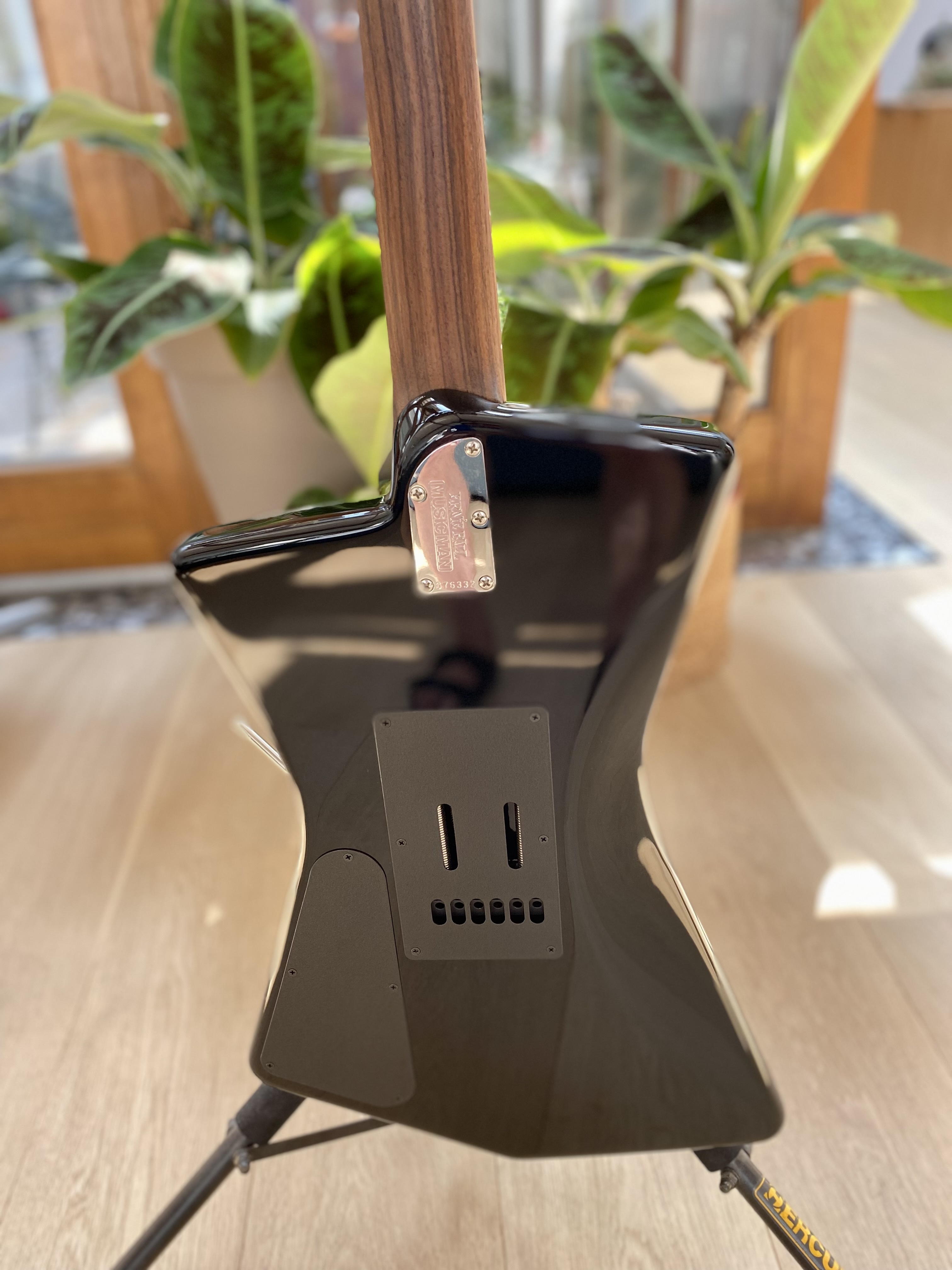 Music Man St. Vincent Signature (2018) (48299)