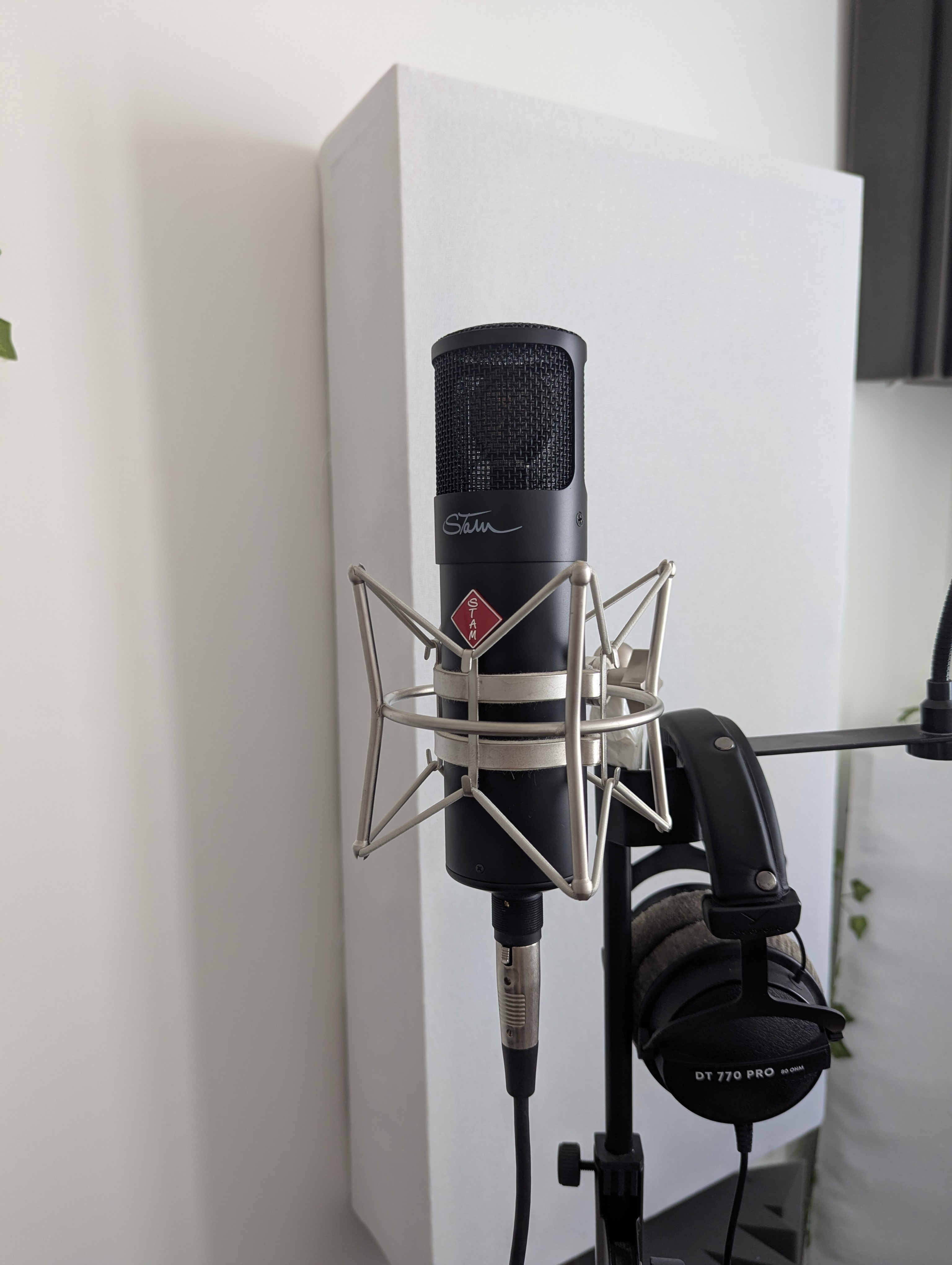 Clone C800G Stam 