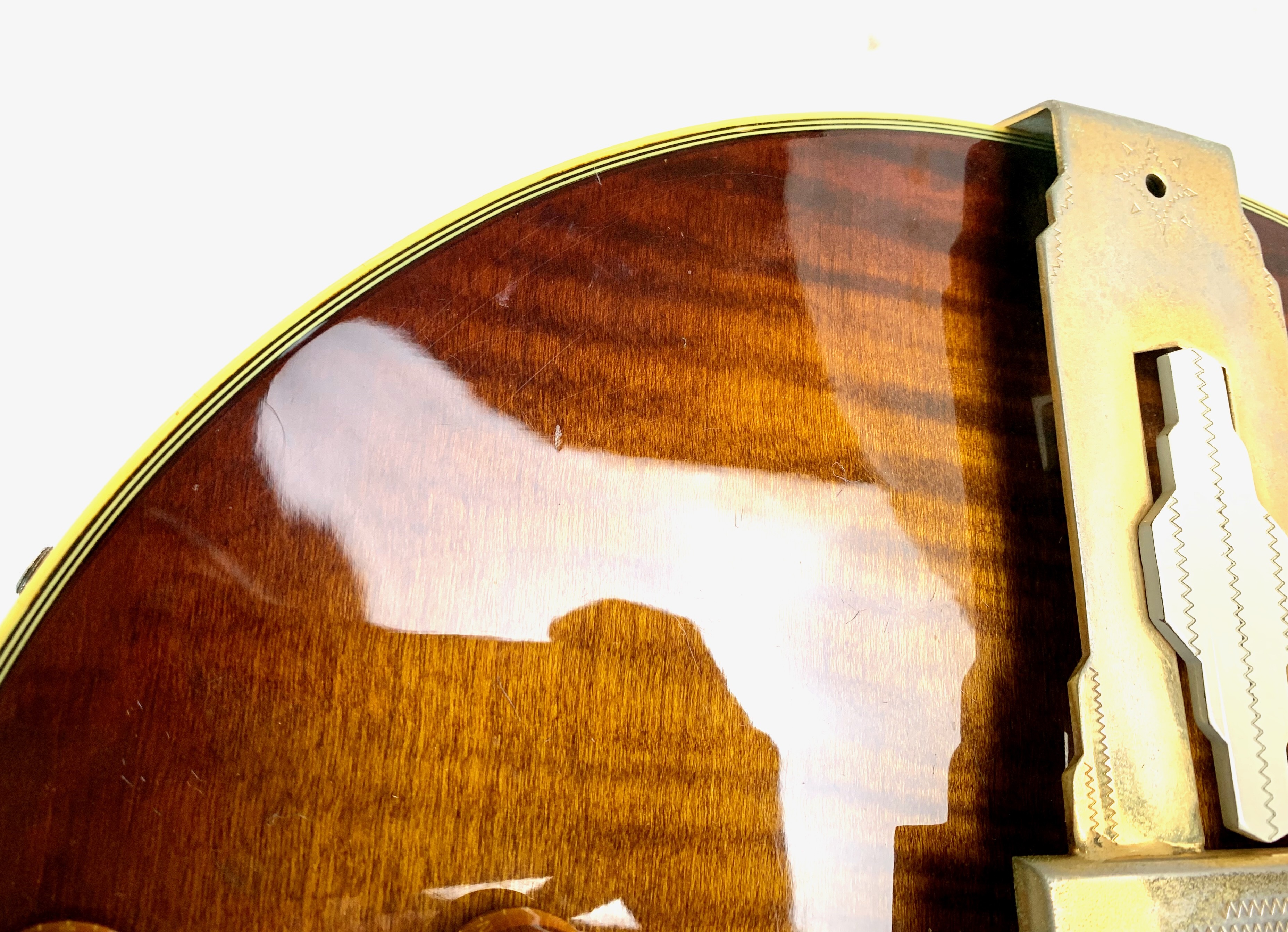 Ibanez 2355 (32852)