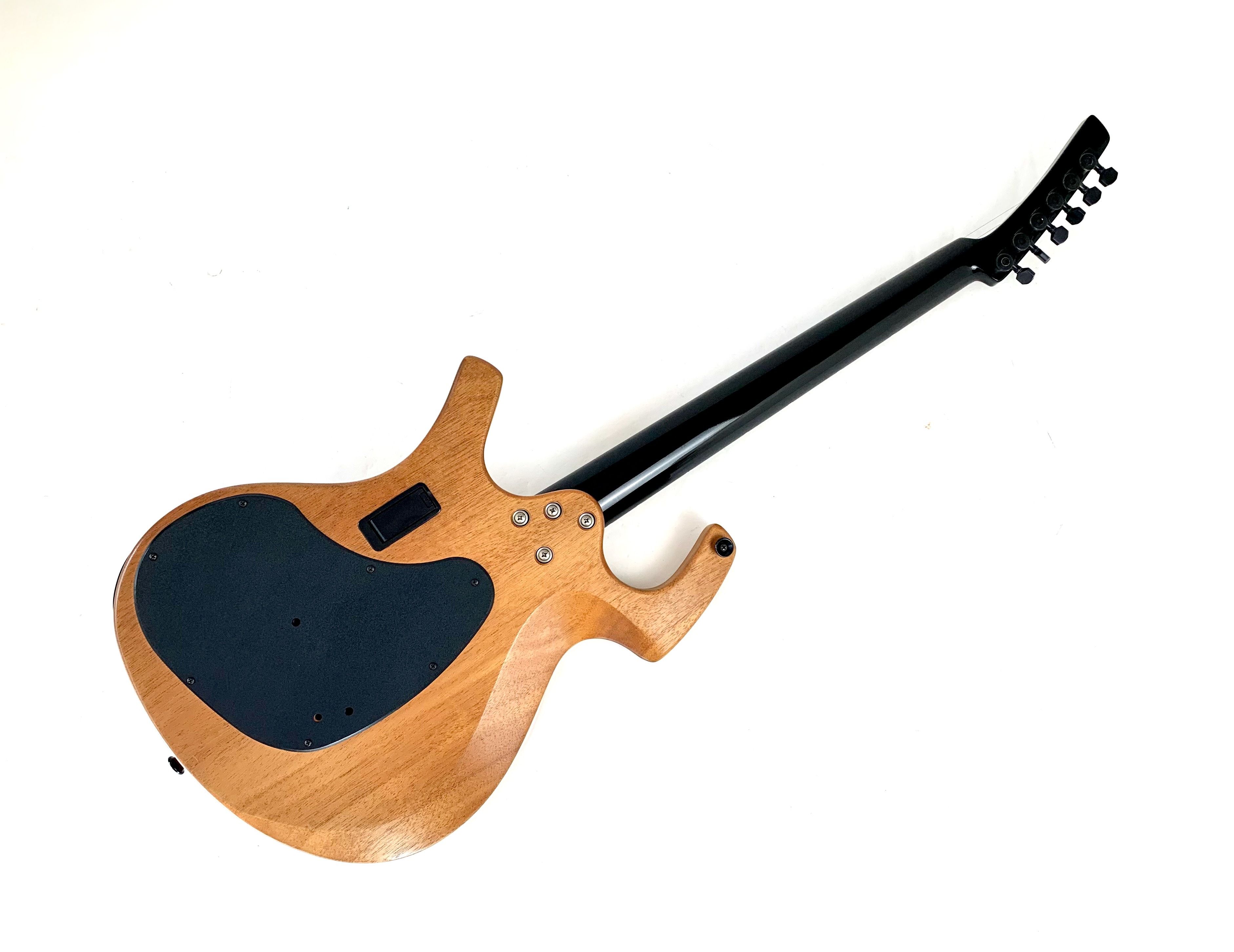 Parker Guitars NiteFly M (45601)